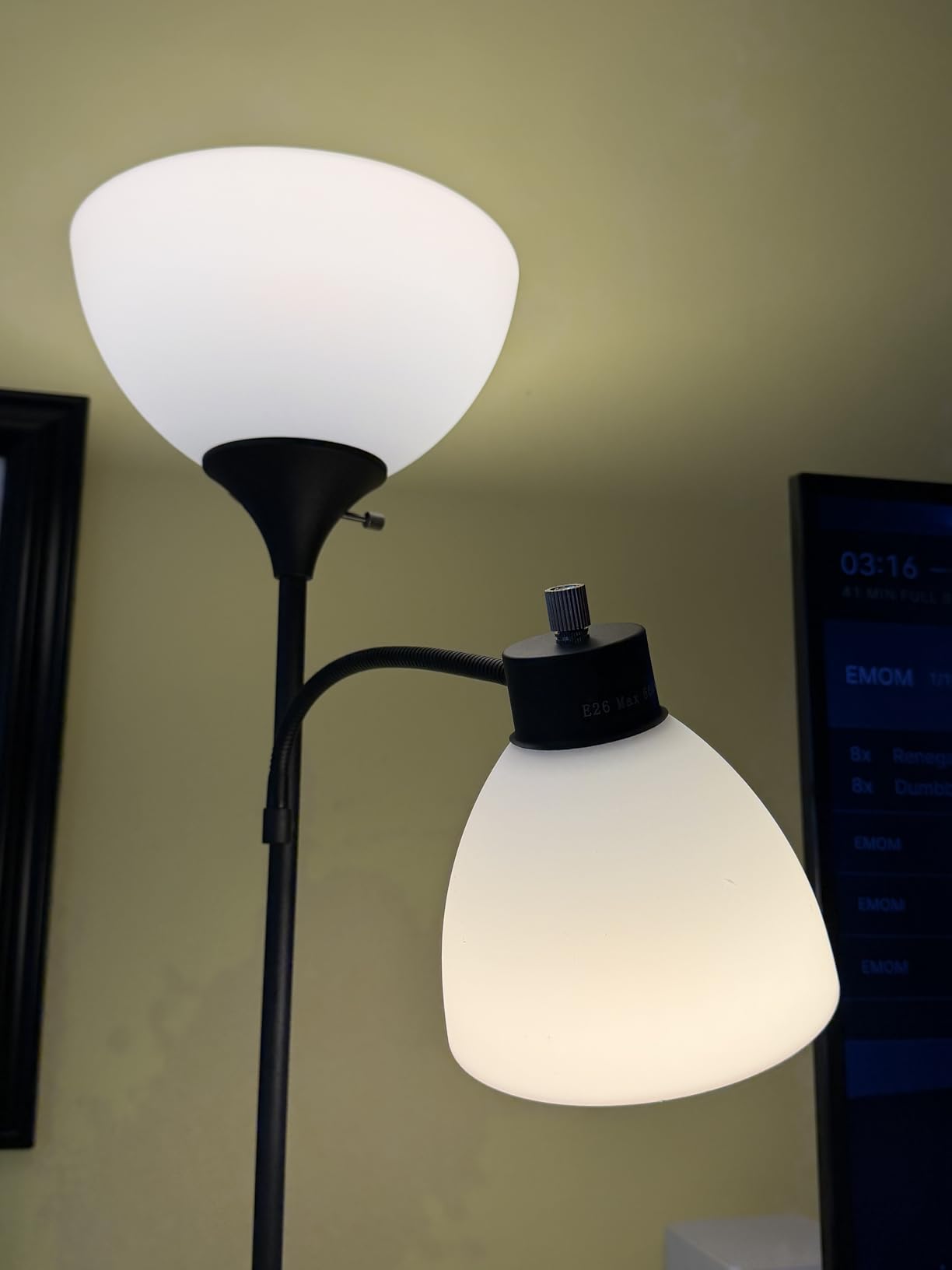 GERGO Led Floor Lamp, Super Bright 11W+7W 2100LM Torchiere Floor Lamps for Living Room, Stepless Adjustable 4 Color Temperatures 3000K-6000K with Remote Control for Bedroom (Matte Black) customer photo 1