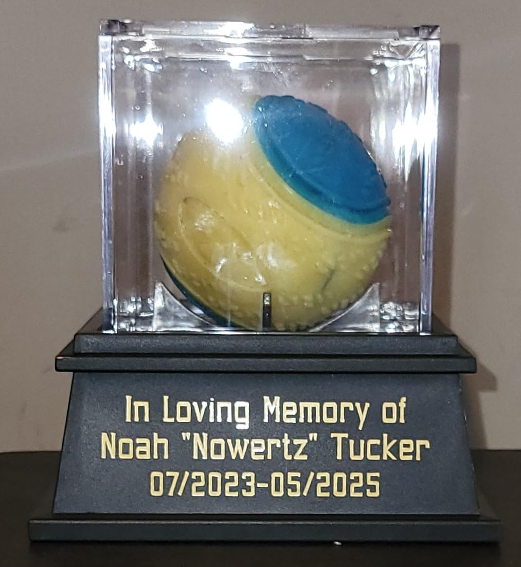 KKU Acrylic Football Display Case - Clear Double Tier Black Stand for Signed Autographed Football Display customer photo 2
