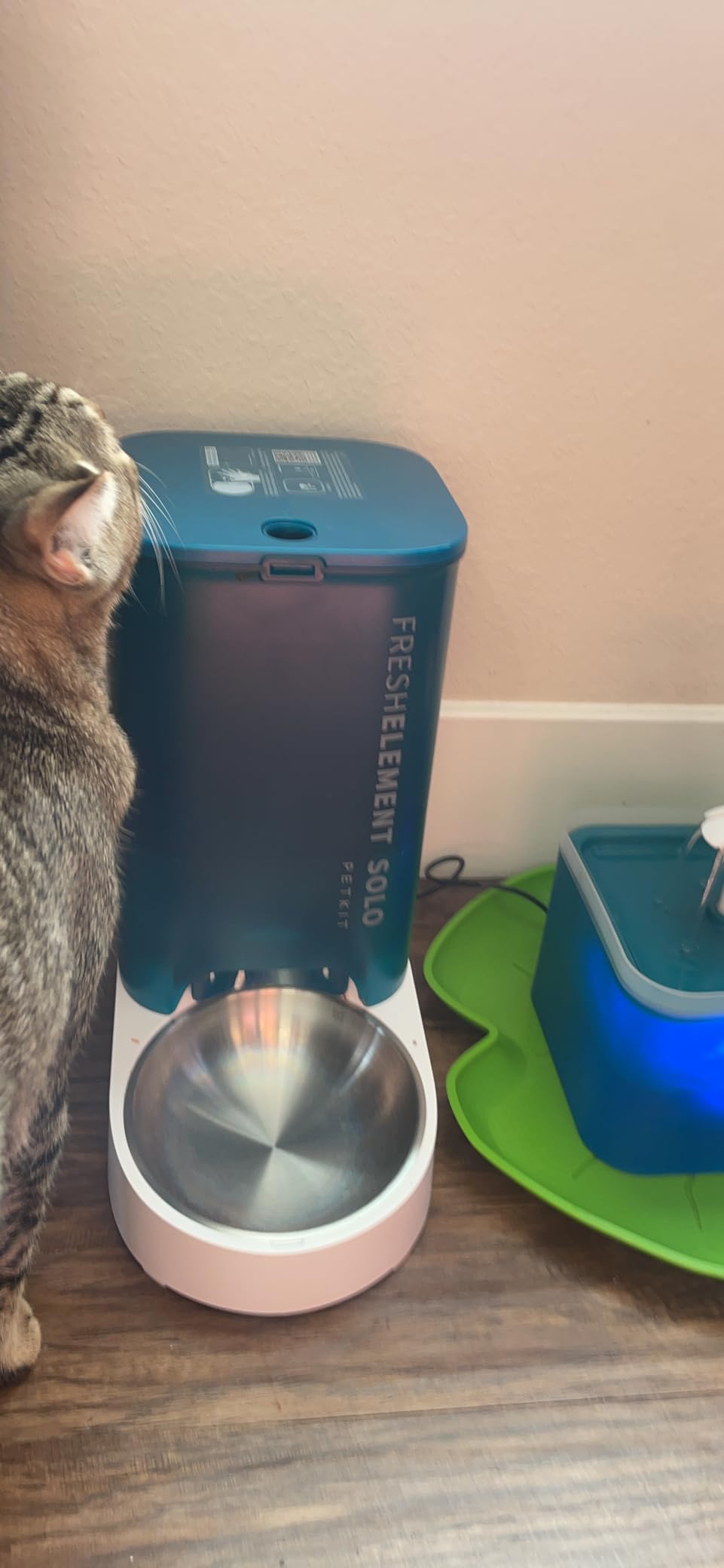PETKIT Automatic Cat Feeder, 2.4G WiFi Automatic Dog Feeder, App Control Pet Food Dispenser with Triple Fresh-Lock System, Up to 10 Meals Per Day, Schedule Feeding, Food Shortage Alert, 3L Capacity customer photo 1