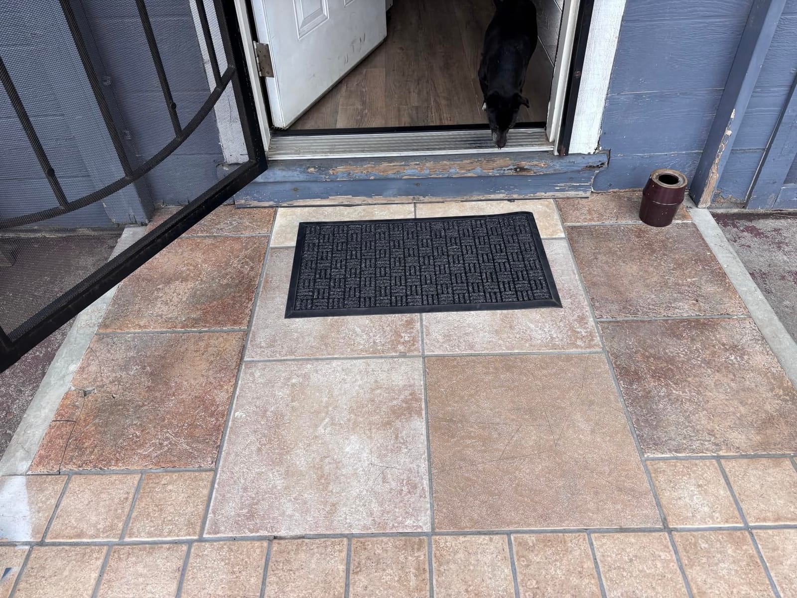 Mibao Front Door Mat Outdoor Entrance, 29.5