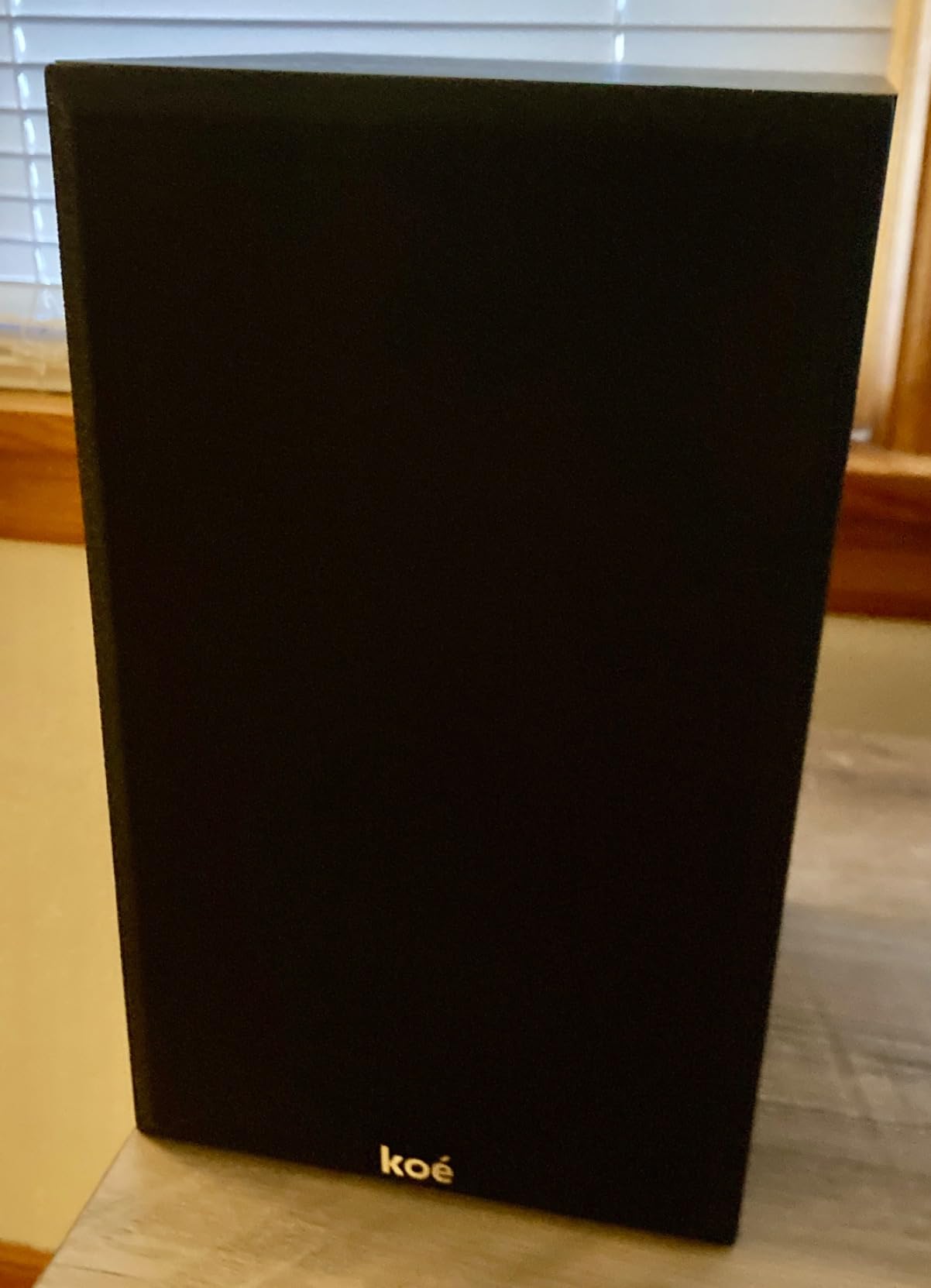 Audio Express Koe' B102 - 100 Watt Home Theater, Passive Bookshelf Speakers (Pair) Hi-Res Audio, Excellent Response, HiFi, Satellites, Includes SPL/Freq Graph, Wall-Mountable, Black customer photo 2