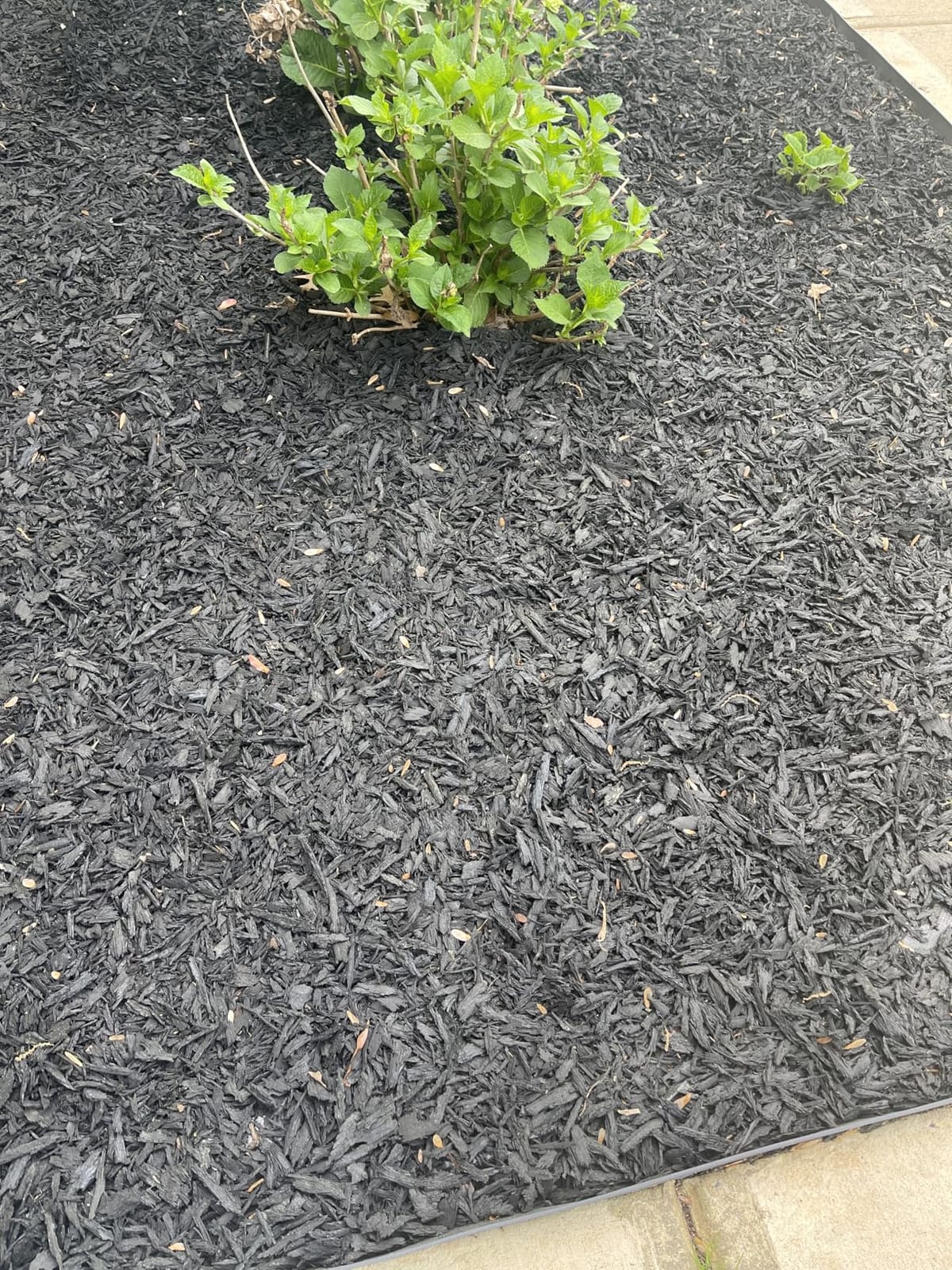 Rubberific Premium Shredded Rubber Mulch for Gardens, Lawns, and Landscaping | Long Lasting Color | Looks Like Natural Wood Mulch (0.8 Cu. Ft. - 16 LBS, Brown) customer photo 2