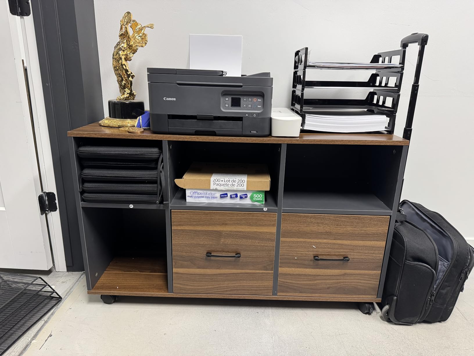 Tribesigns 2 Drawers Lateral File Cabinets, Home Office 43-inch Mobile Wood Cabinet Credenza Printer Stand with Wheels and Open Storage Shelves, Drawers for Letter Size (Walnut) customer photo 1