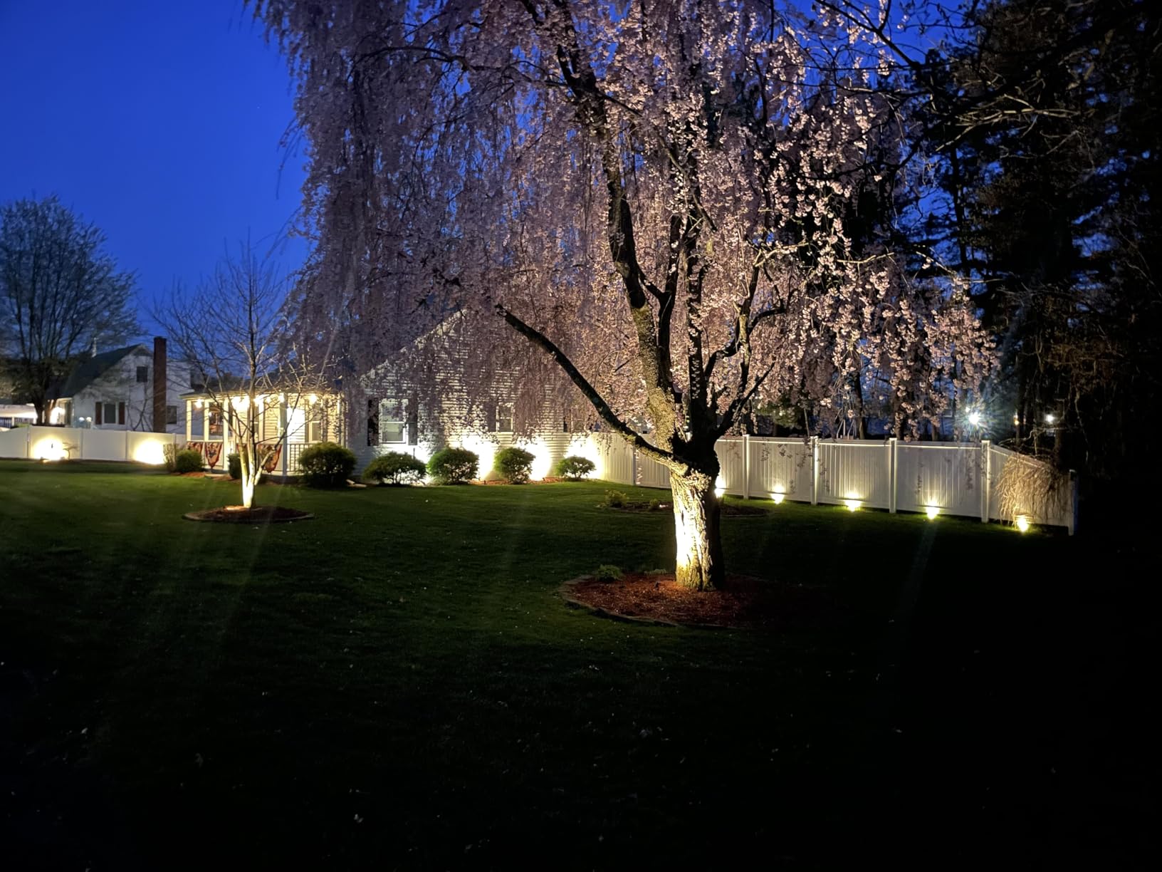 SUNVIE All-In-One LED Landscape Lighting Kit, 8-Pack Low Voltage Landscape Lights with Transformer and 65FT UL-Listed Wire, 3000K Waterproof Outdoor Uplights with Connectors for Yard House Garden Tree customer photo 1