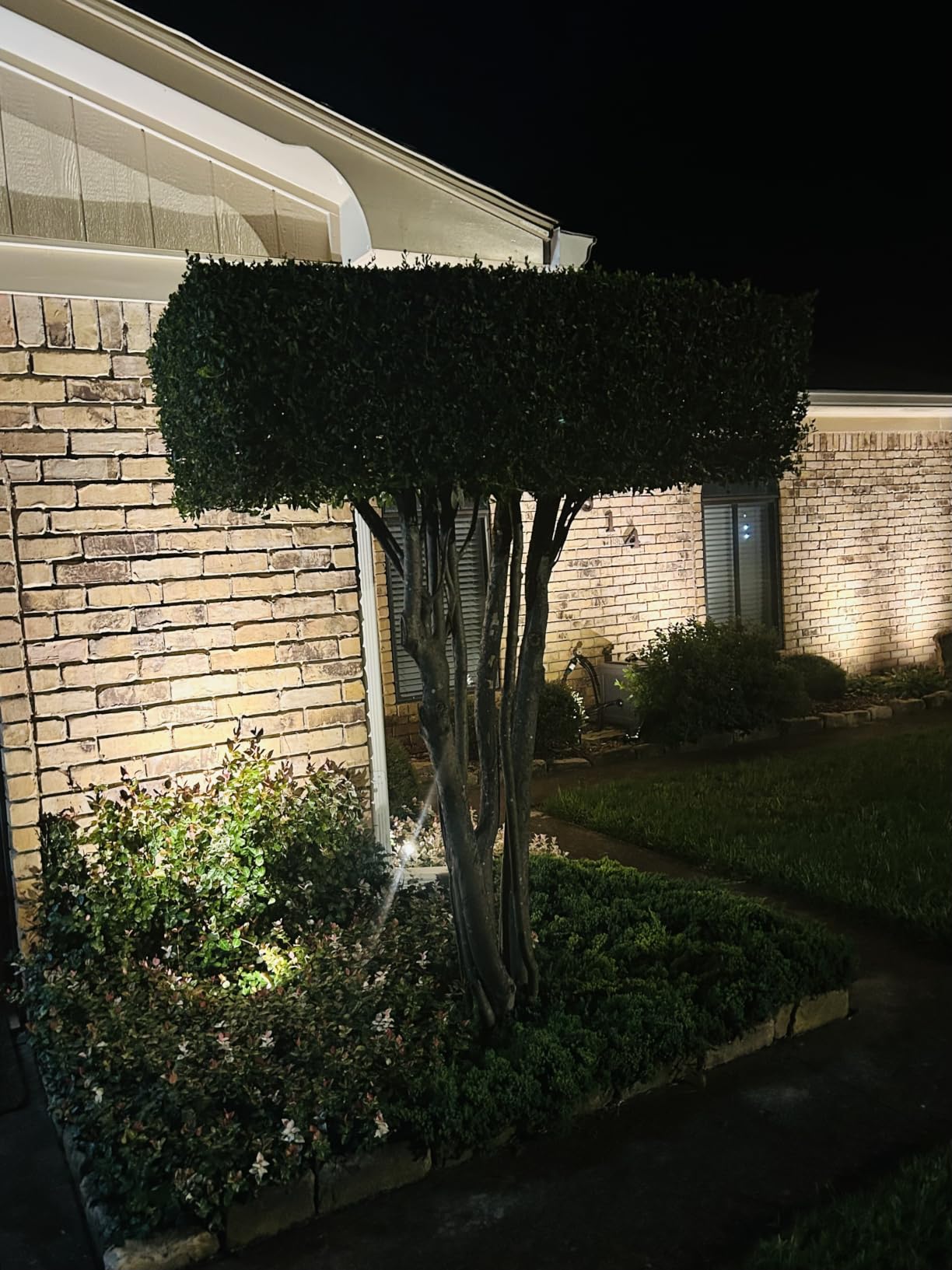 SUNVIE All-In-One LED Landscape Lighting Kit, 8-Pack Low Voltage Landscape Lights with Transformer and 65FT UL-Listed Wire, 3000K Waterproof Outdoor Uplights with Connectors for Yard House Garden Tree customer photo 2