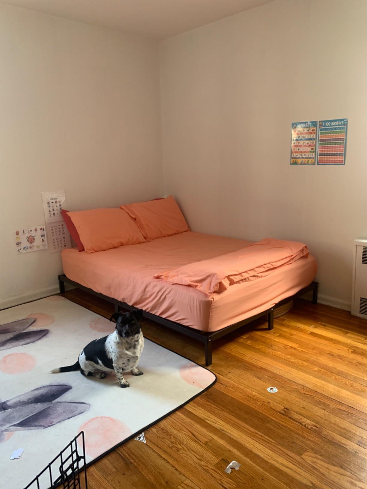DiaOutro 7 Inch Queen Bed Frame Heavy Duty Low Profile Metal Platform | Steel Slats Platform No Box Spring Needed Mattress Foundation, Easy Assembly, Noise Free customer photo 1
