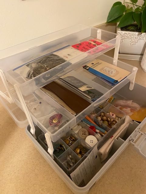 WEWLINE 13-Inch Art Storage Box 3-Layers Plastic Storage Box with Handle Craft Art Bin Portable for Home School Office Travel, Black customer photo 1