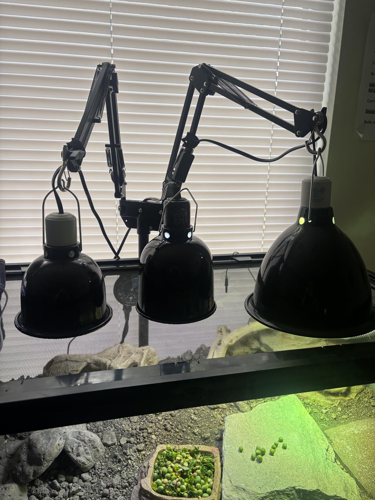 MECESOR Reptile Light Fixture, 2 Packs 5.5 Inch Deep Dome Lampshade customer photo 1