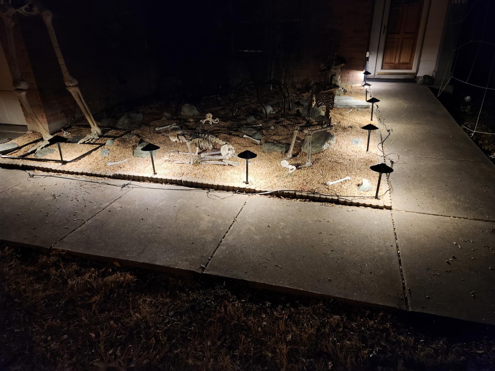 SUNVIE 12-Pack 3W RGB Low Voltage Landscape Lights Wired Outdoor 12-24V | 90+ CRI, Color Changing, IP65 Waterproof, Pathway lights, for Holiday Yard Garden Driveway customer photo 1