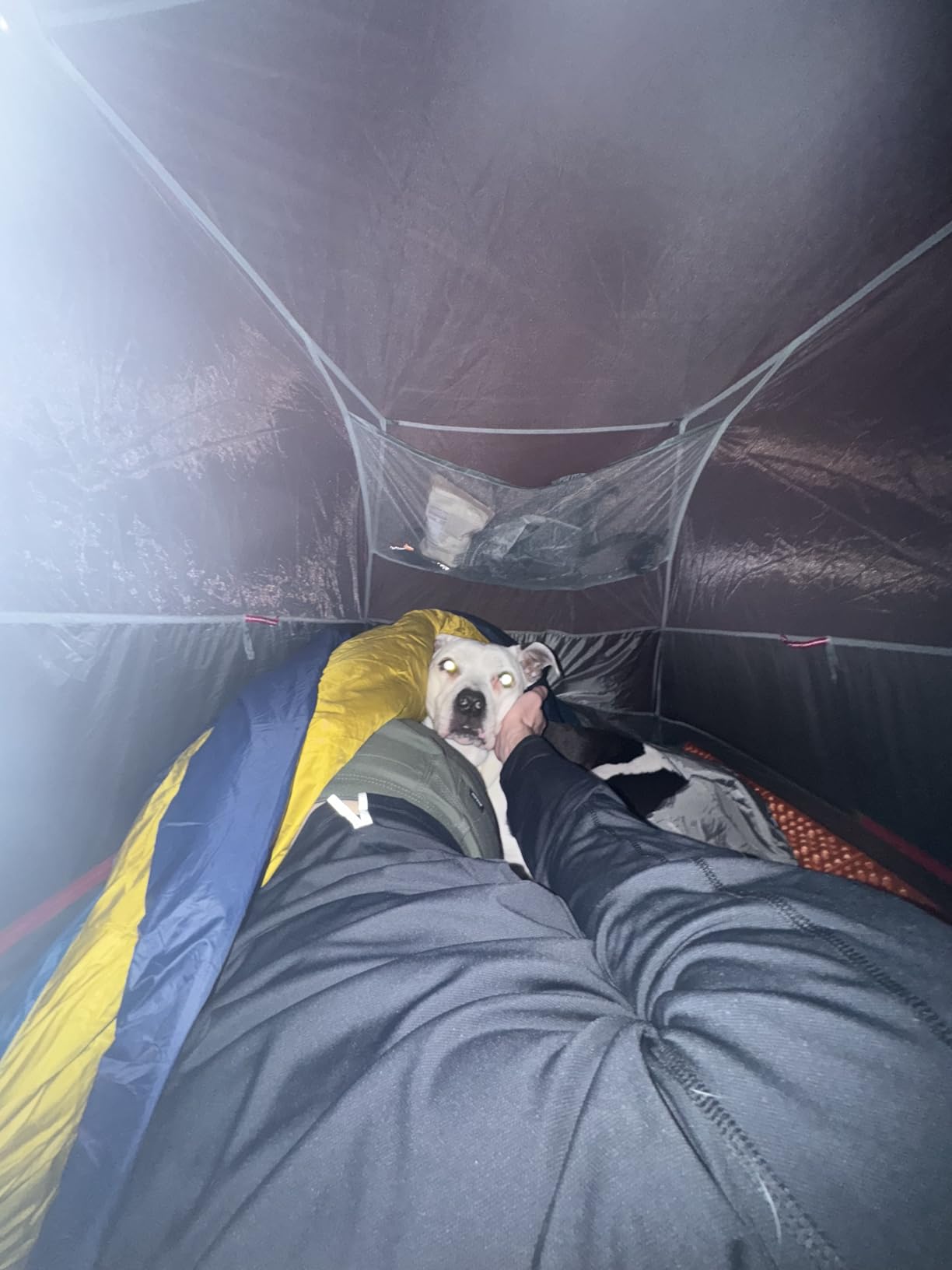 Kelty Cosmic 20 Down Mummy Sleeping Bag for Backpacking, Campers, 550 Fill Power, Recycled Fabrics with PFAS-Free DWR, Designed in Sunny Colorado customer photo 2