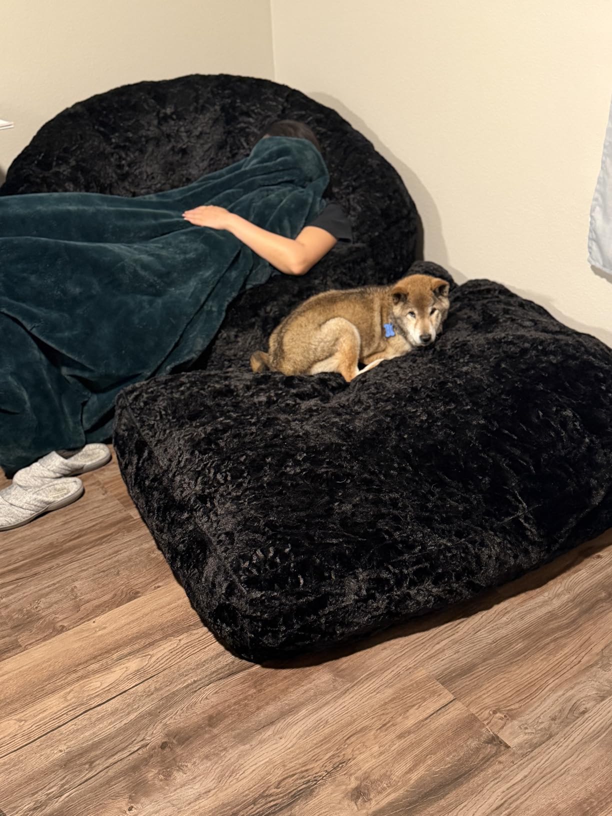 MAXYOYO Giant Bean Bag Chair for Adults, Oversized Shell Shape Bean Bag | Faux Fur Large Chair with Filler, Stuffed Big Lounge Floor Sofa for Bedroom Living Room Reading, Beige customer photo 2
