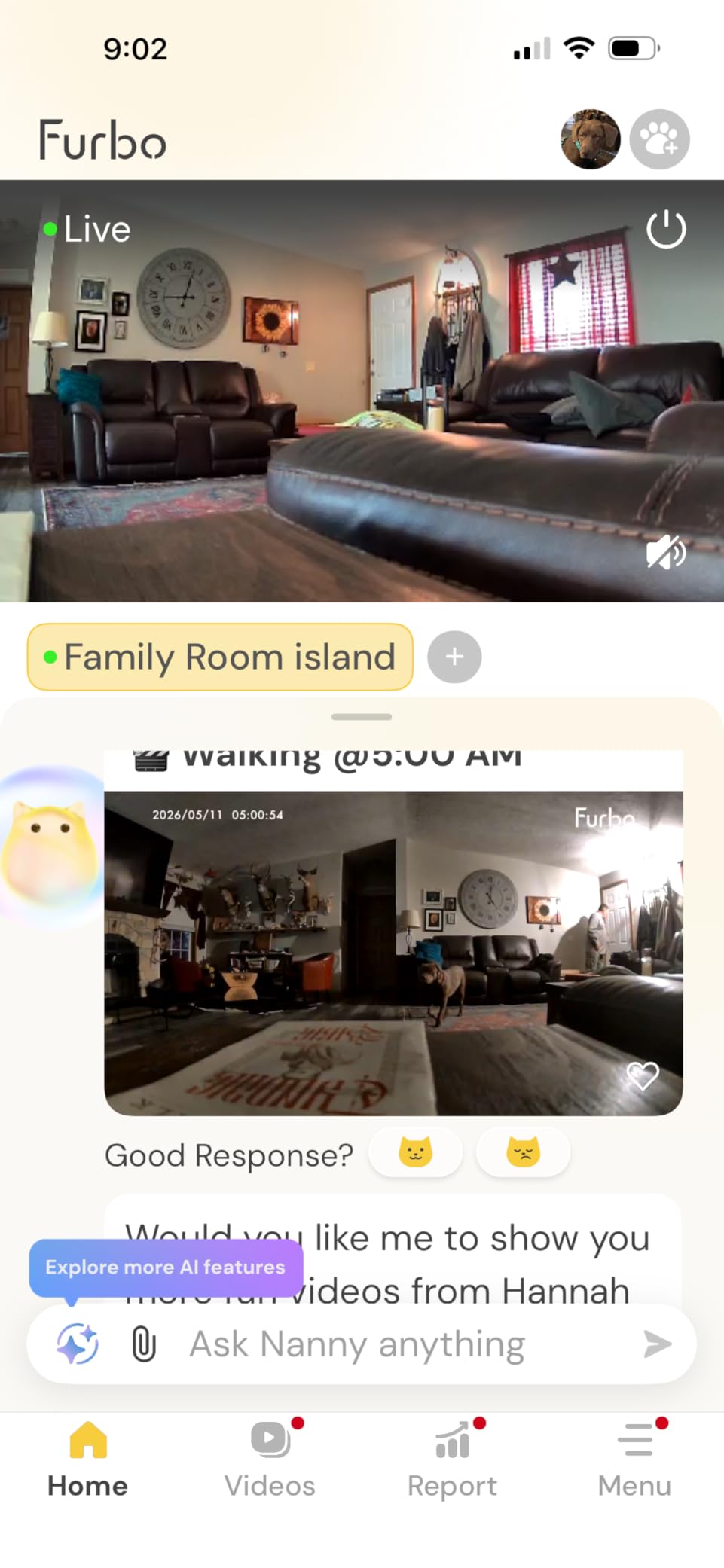 Furbo Mini Pet Camera [Paid Plan Required to Activate] | Stay connected with AI Pet & Home Safety Alerts, Mountable 130° Wide View, Video History, 2-Way Audio, Paid Plan Required customer photo 2