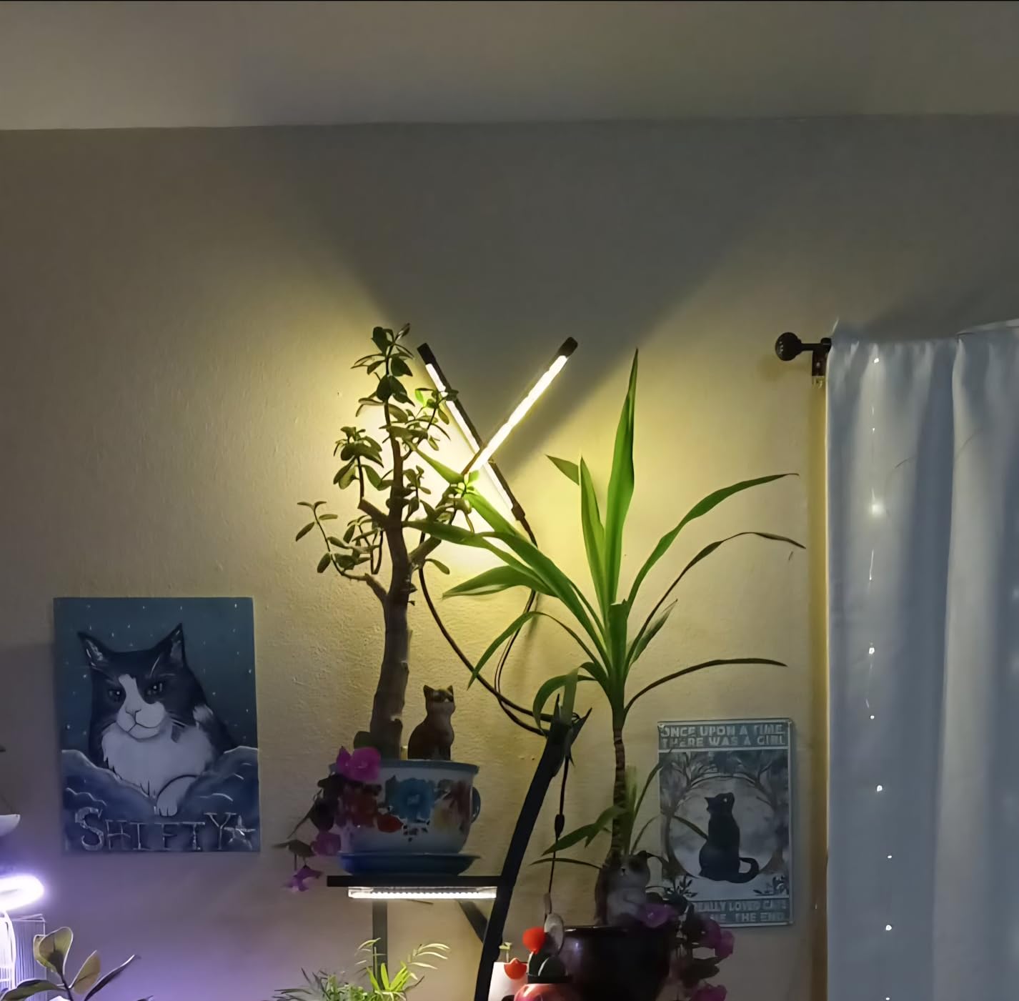 Bloom Lume LED Grow Lights for Indoor Plants Full Spectrum 6000K - Plant Grow Lights Indoor Features Multi Mode Color Spectrums (Red, White & Blue), Dimmable, Auto Timer, Clip on Gooseneck Plant Lamp customer photo 1