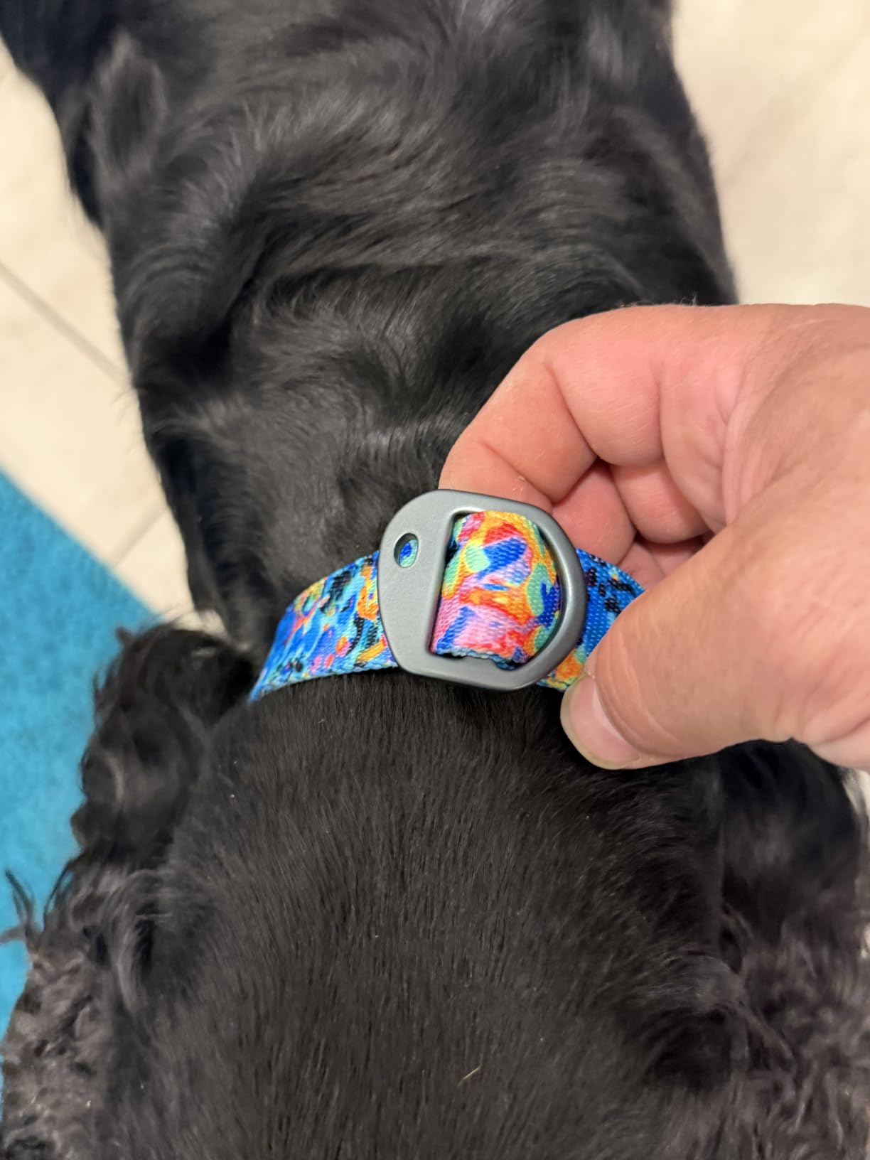 Dog Collar, Fi Series 3 and 3+ Ready, Frolic Summer, X-Large - Compatible with Fi GPS Device (Not Included) customer photo 2