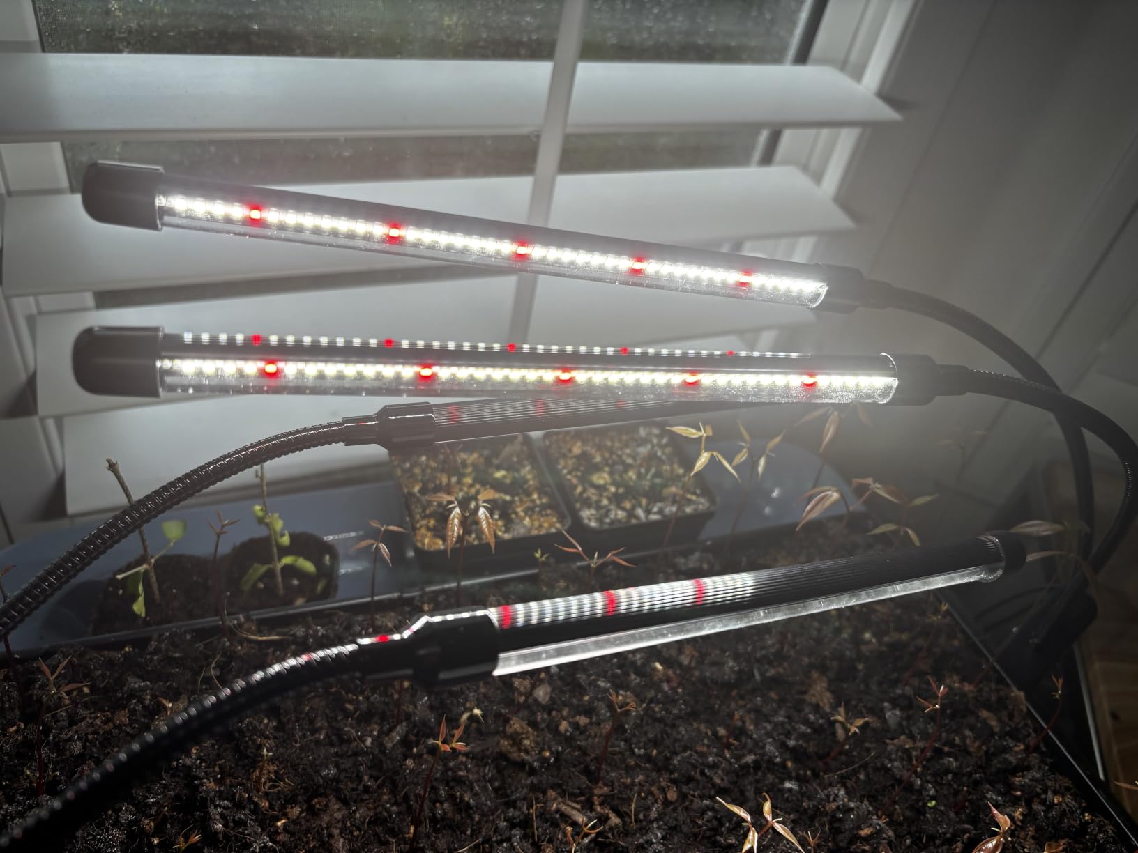 Black Grow Lights for Indoor Plants, 168 LEDs Clip Plant Lights, Full Spectrum LED Plant Growing Lamps with Flexible Gooseneck 4/8/12/18H Timer, 3 Spectral Modes, 10 Dimmable Levels, 2Head x 2 Pack customer photo 2