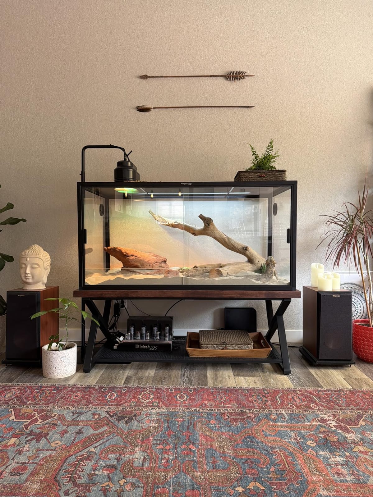 Phailozoo 120 Gallon Reptile Tank, Stackable 4x2x2 Reptile Enclosure | Reptile Tank with Front Sliding Tempered Glass Doors, Optimal Ventilation & Light Penetration by Rust Proof Mesh Top customer photo 1