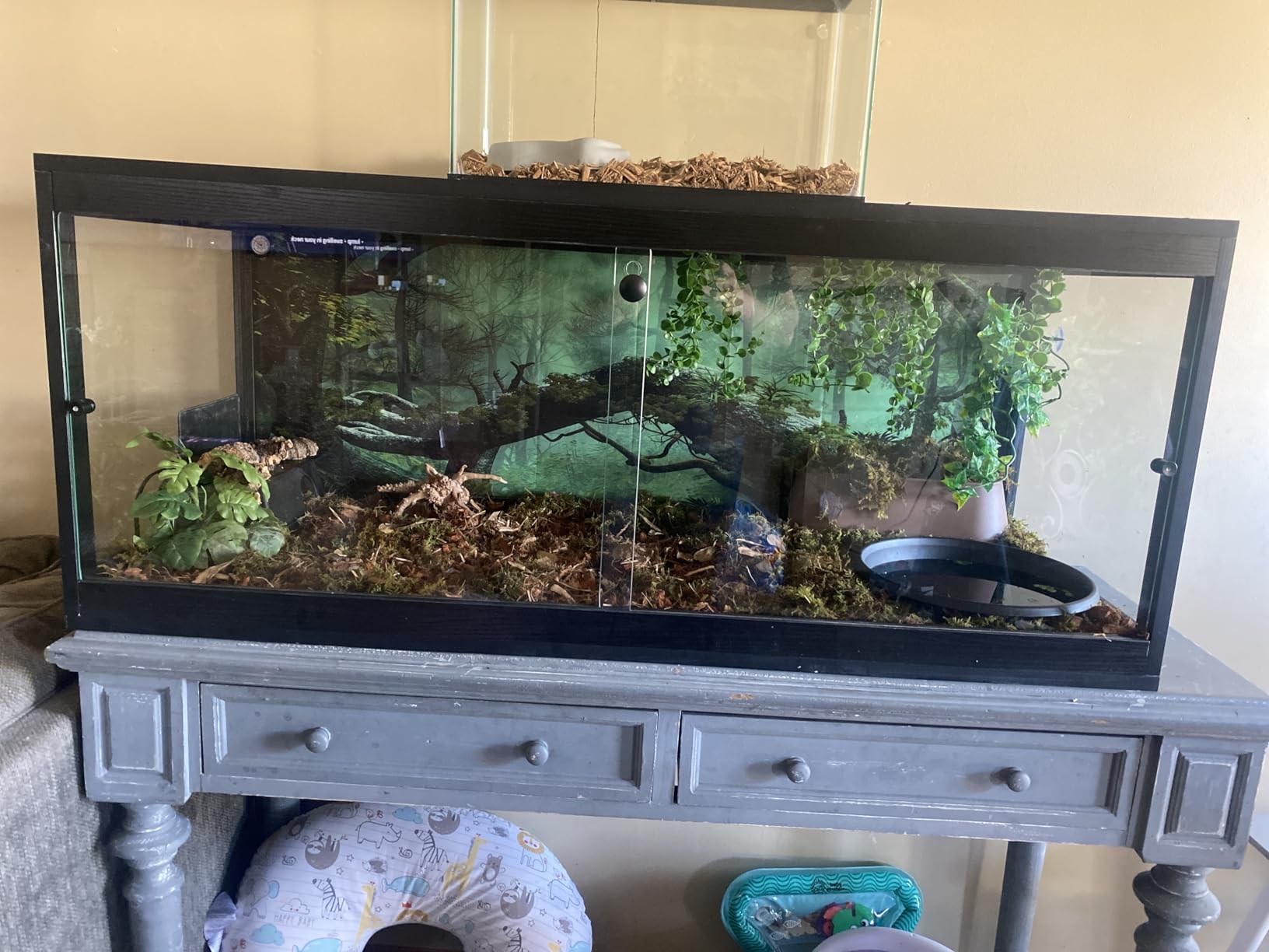 PROLEE 35 Gallon Bearded Dragon Tank, 32 x 16 x 16 Inch Tempered Glass Reptile Enclosure with Metal Mesh Top, Lockable Sliding Front Doors, Large Lizard and Snake Terrarium, Oak customer photo 1