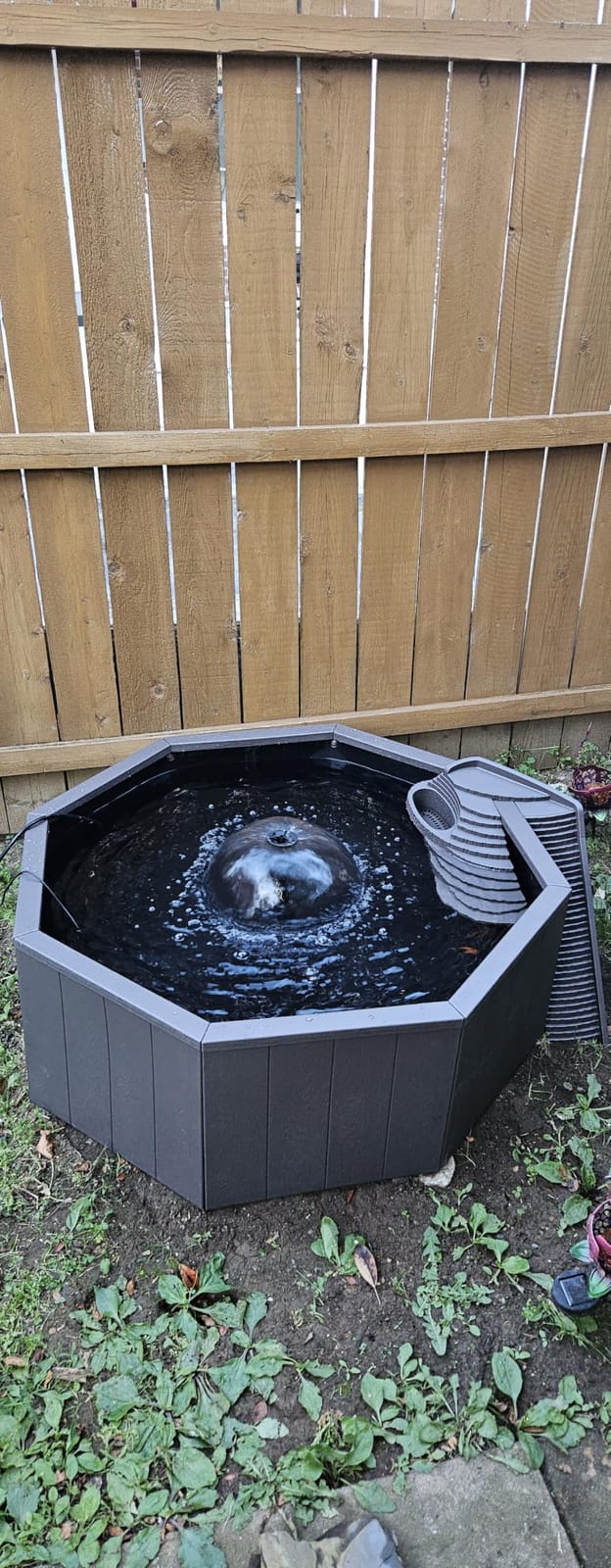 Aquagarden No Dig Nature Pool, Complete Water Feature Kit, Attract Birds and Wildlife to Your Yard, Includes Pond Structure, Liner, Fountain Pump, Nature Ladder, Planting Pocket customer photo 1