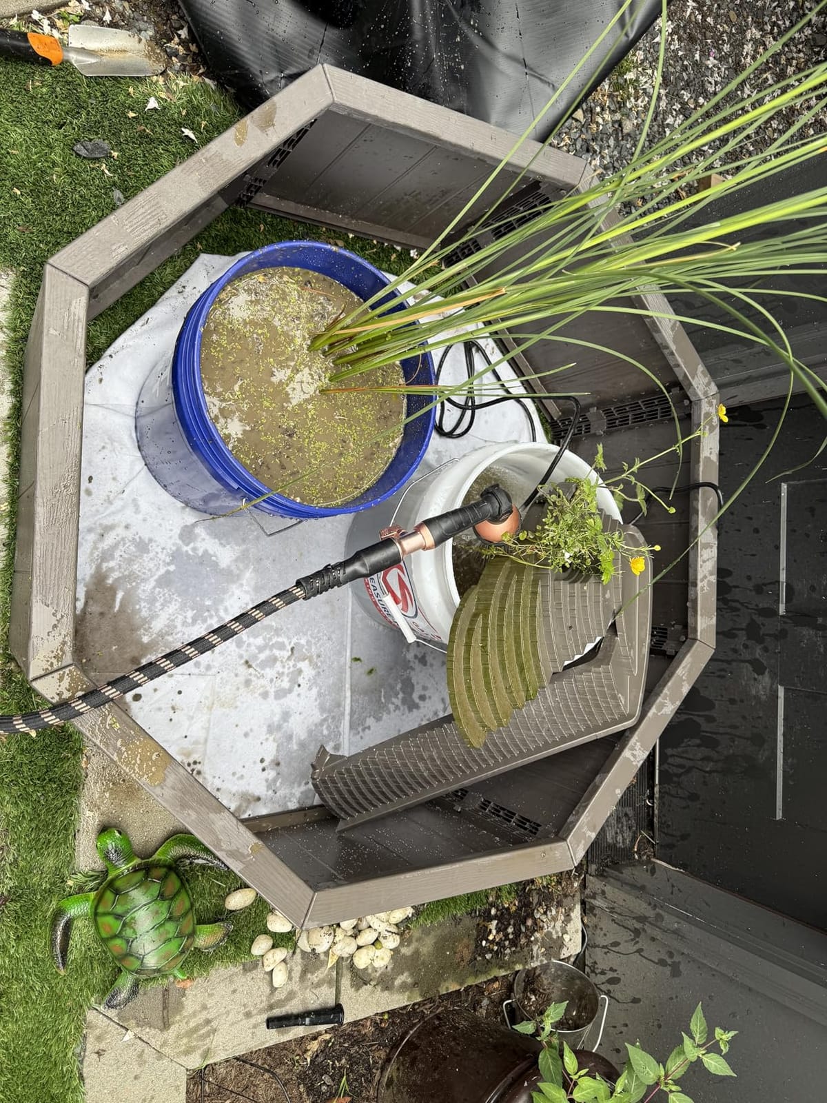 Aquagarden No Dig Nature Pool, Complete Water Feature Kit, Attract Birds and Wildlife to Your Yard, Includes Pond Structure, Liner, Fountain Pump, Nature Ladder, Planting Pocket customer photo 2