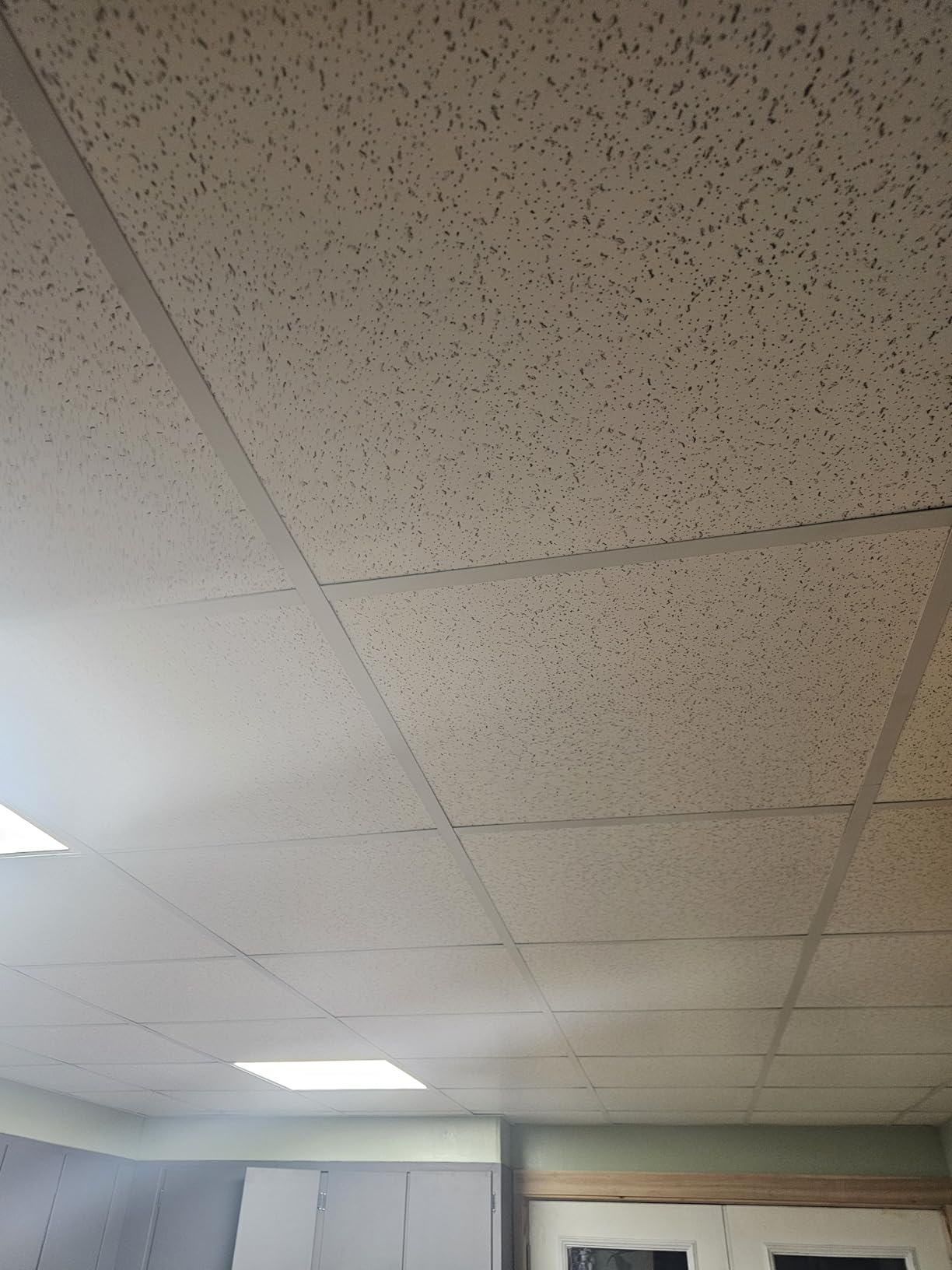 2ft x 4ft Printed Pro Ceiling Tiles - Drop Ceiling Tiles 24 x 48in - Waterproof, Washable and Fire-Rated customer photo 1