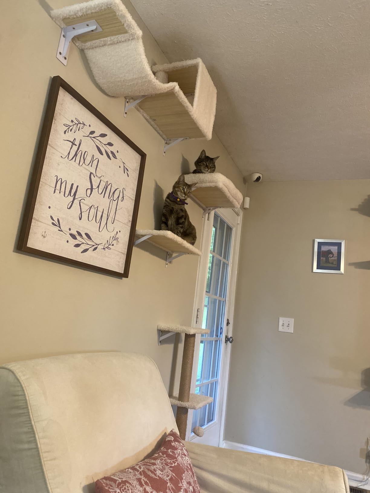 FUKUMARU Cat Wall Shelves, 4 in 1 Set, Grey | Stable & Safe Cat Walls Furniture, Wooden Kitten Climbing Wall with Scratching Post for 16 Inch Drywall customer photo 2