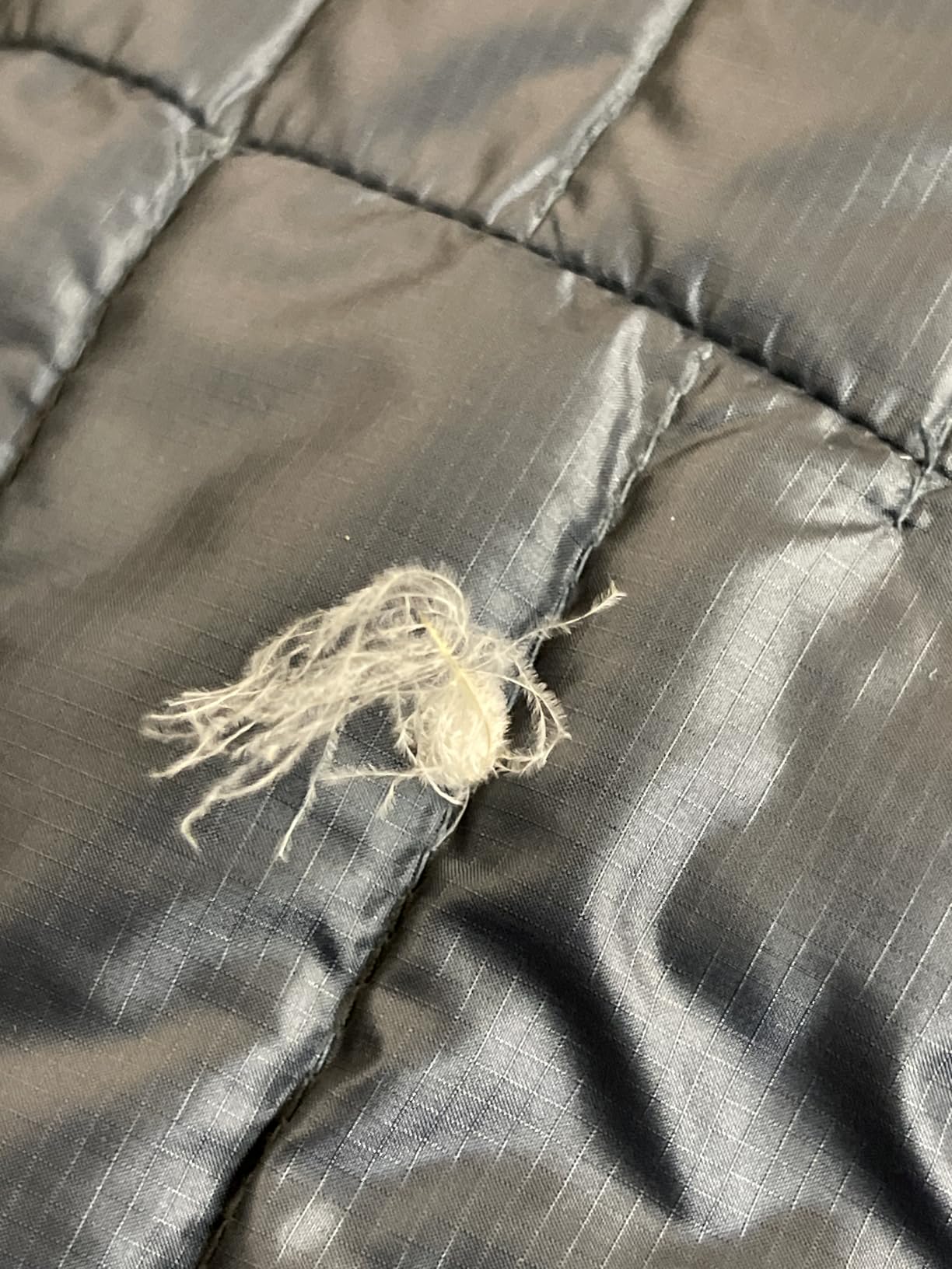 Men's Microlight Alpine Down Jacket customer photo 2