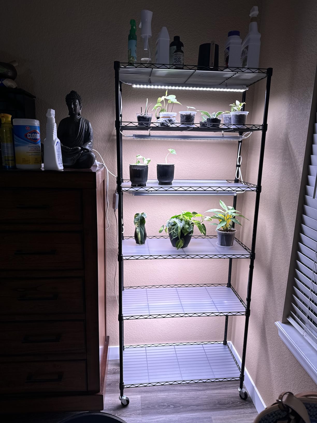 CX83 Plant Shelf with Grow Light, 5-Tier, Plant Stand with 10W Ultra-Thin Grow Light Panels for Hydroponics, Seedlings, Succulents, Flowers, Veg, 3/6/12h Timer, 15.7