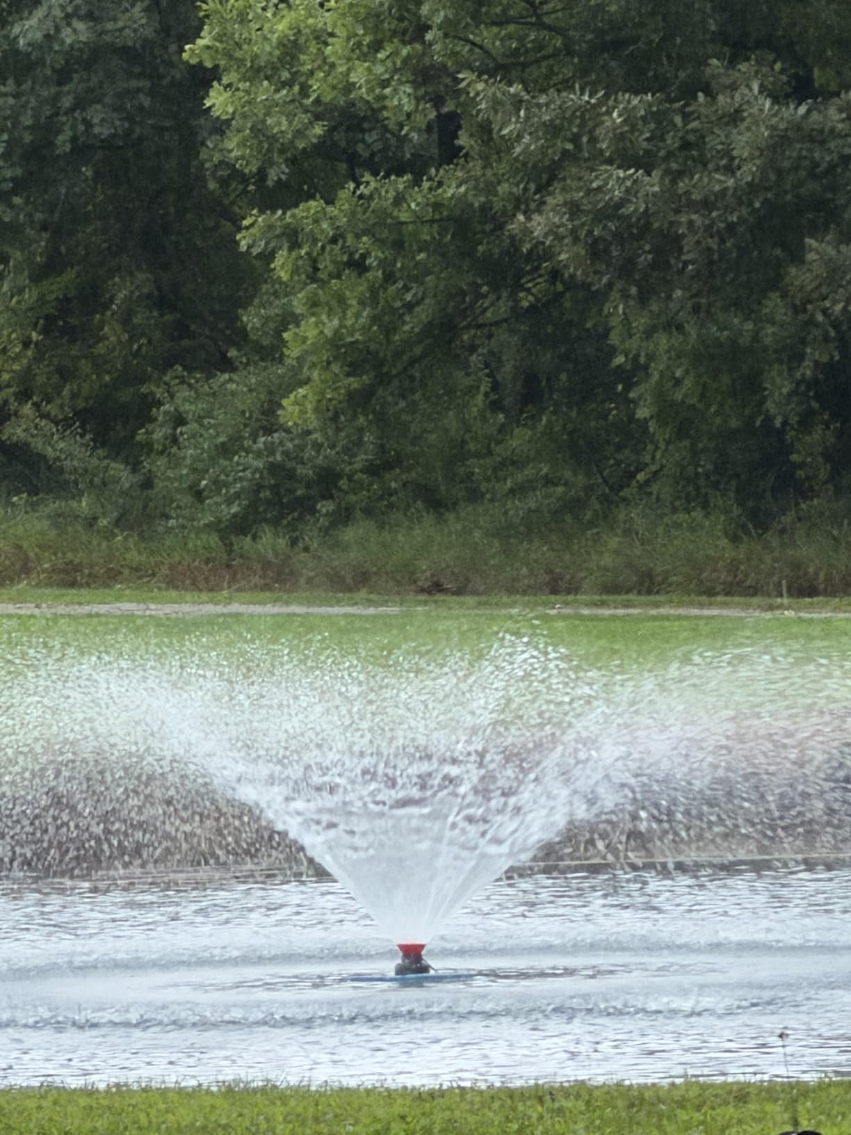 Goldlife Pond Fountain Aerator F2 1HP 750W 15000GPH Floating Fountains Pump | 110V, Stainless Steel Auto Powerful Aerating Fountain Pump For Small/Large Pond Lake, Eye-Catching Water Spary, Boosts Oxygen customer photo 1