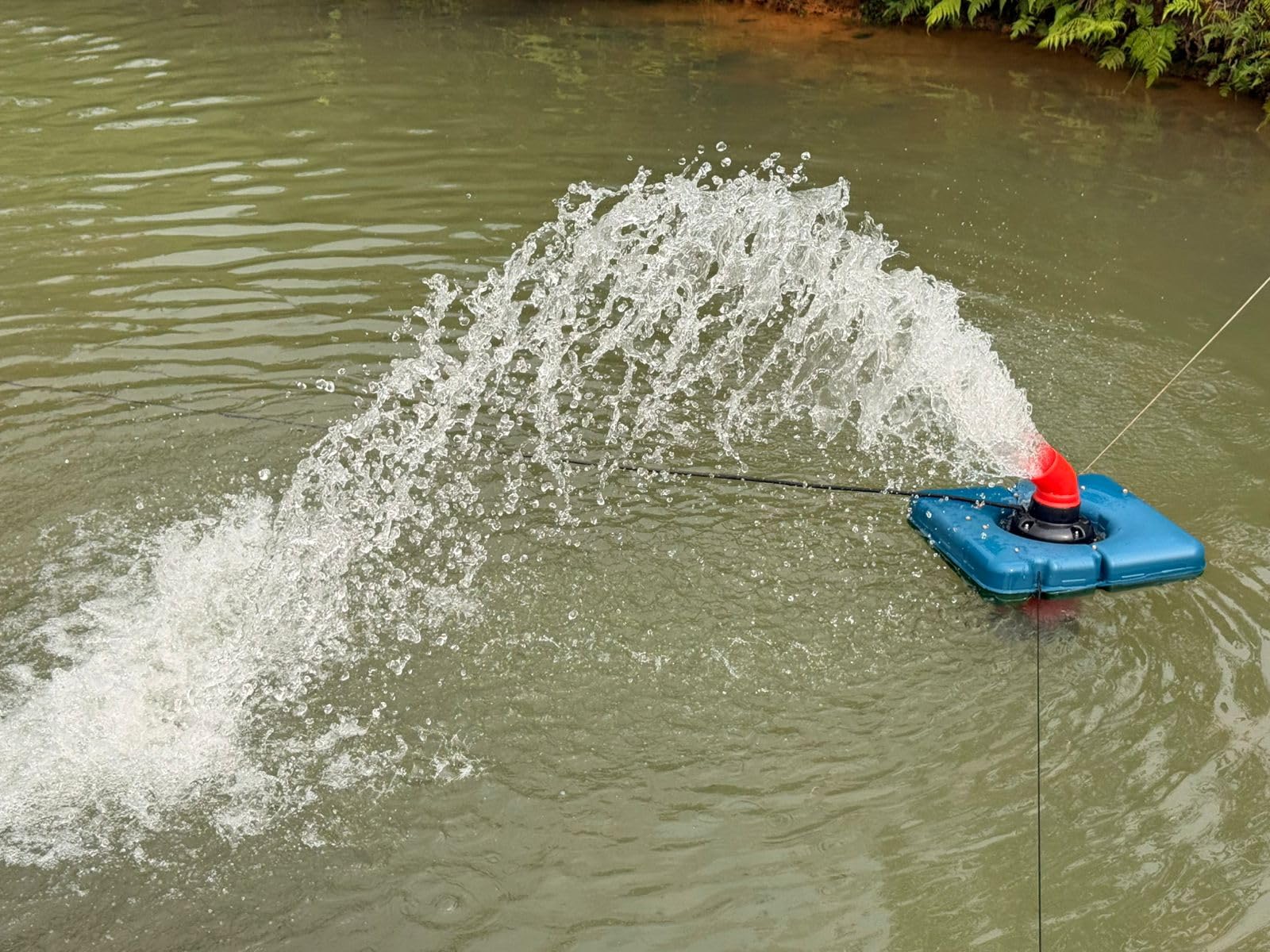 Goldlife Pond Fountain Aerator F2 1HP 750W 15000GPH Floating Fountains Pump | 110V, Stainless Steel Auto Powerful Aerating Fountain Pump For Small/Large Pond Lake, Eye-Catching Water Spary, Boosts Oxygen customer photo 2