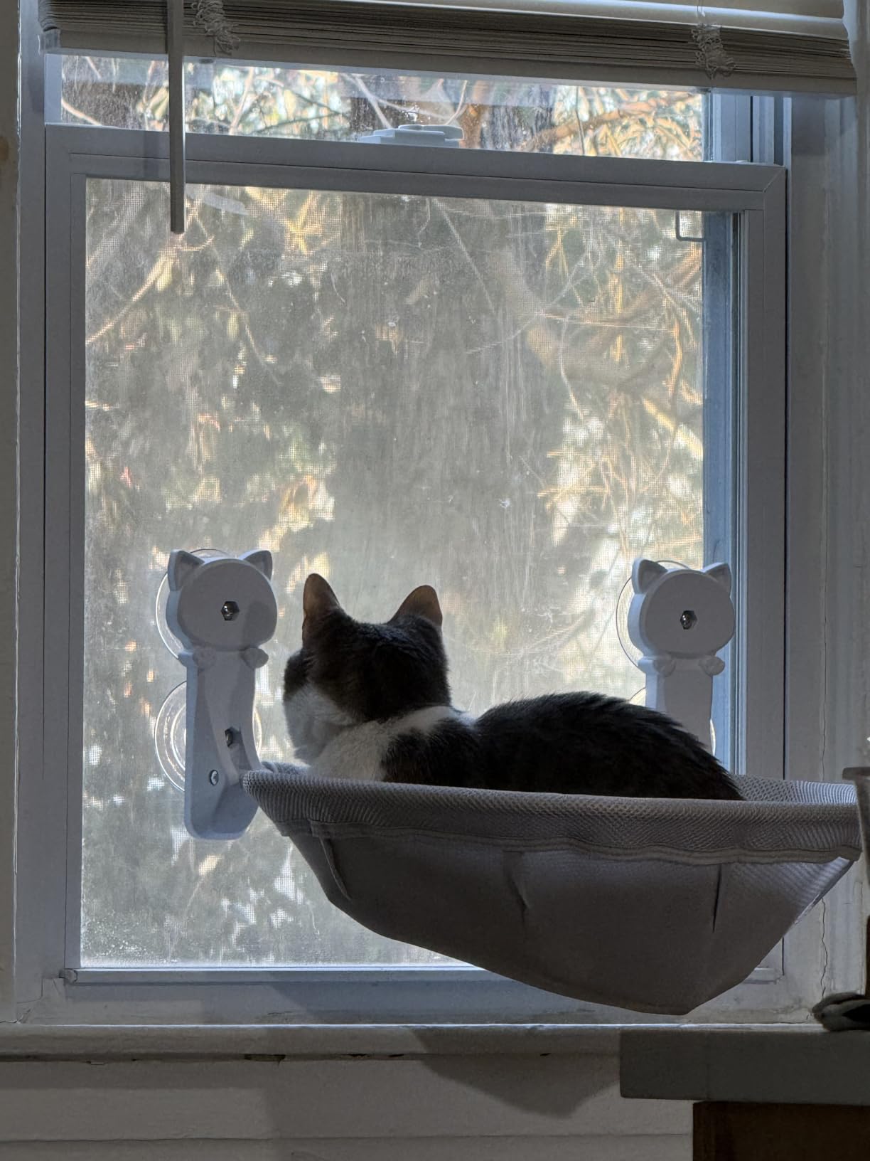 JUNSPOW Cat Window Perch Cordless, Foldable & Stable Cat Beds- Breathable Cat Window Hammock for Overlooking, Sunbathing and Climbing - Maximum Hold Up to 40lb customer photo 1