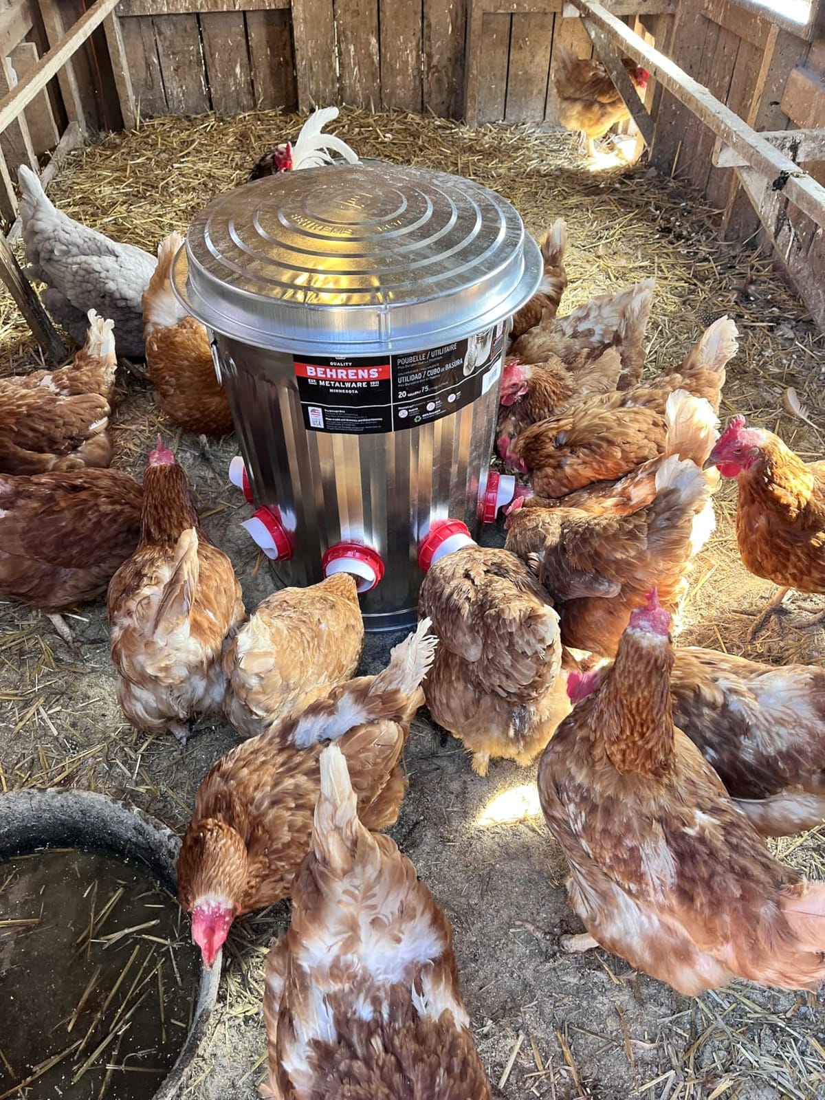 Chicken Feeders No Waste, DIY Automatic Poultry Feeder - 8 Ports Red | Buckets Barrels Bins Troughs-mountable Design for common Breeds of Chicken Flock with Hole Saw customer photo 1