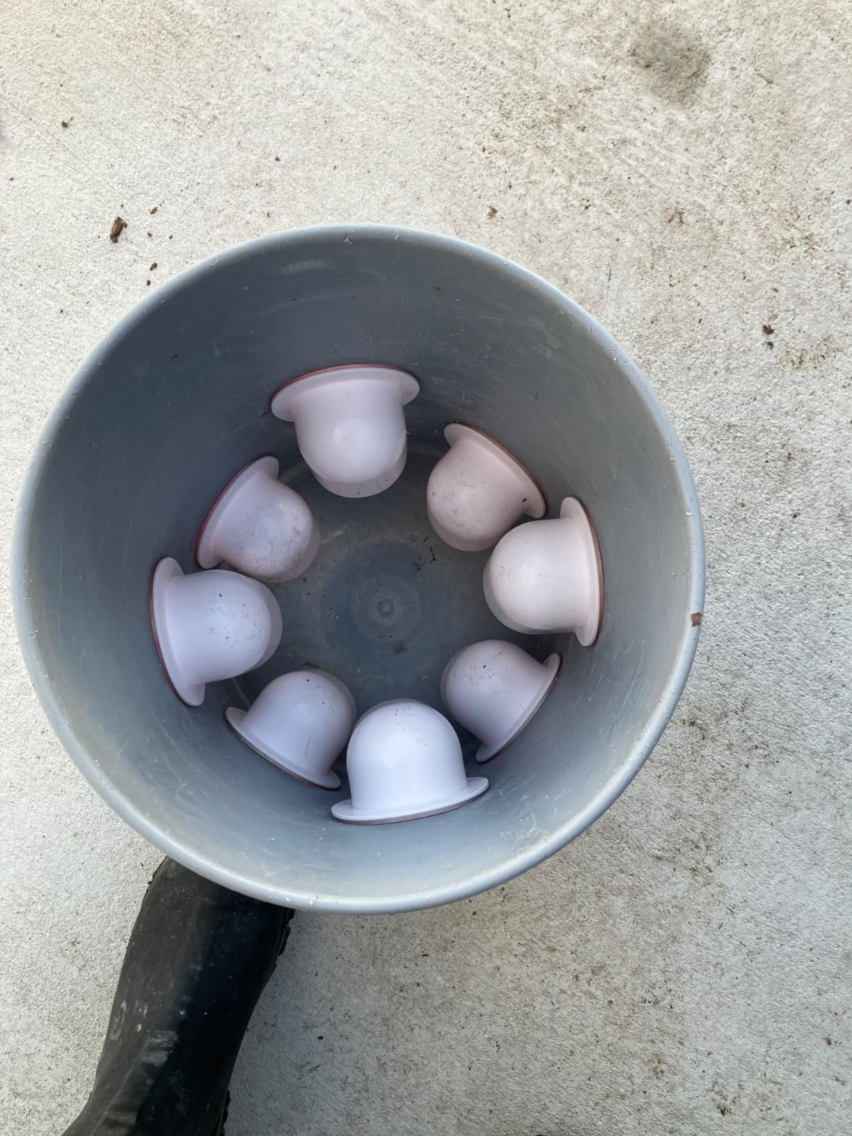 Chicken Feeders No Waste, DIY Automatic Poultry Feeder - 8 Ports Red | Buckets Barrels Bins Troughs-mountable Design for common Breeds of Chicken Flock with Hole Saw customer photo 2