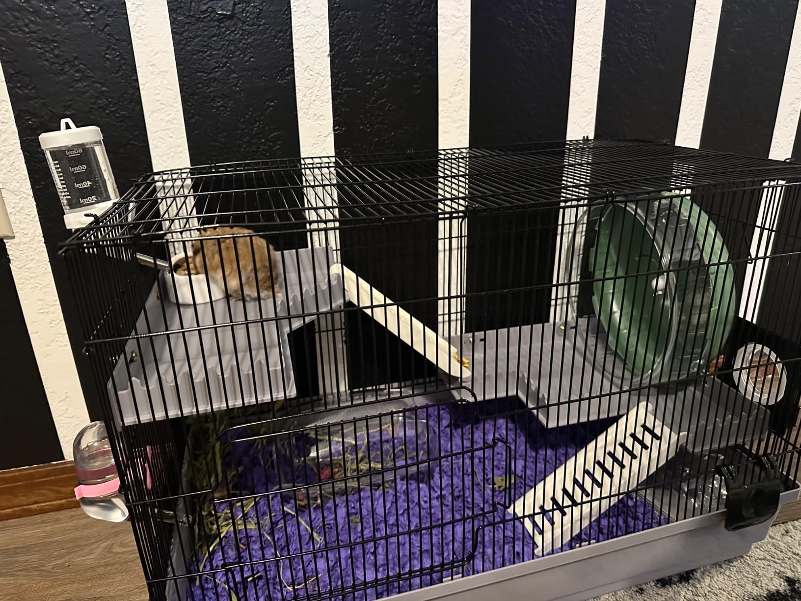 Large Hamster Cage Starter Kit 22x12x15in for Syrian Hamster Dwarf Hamster | with Large Silent Wheel, Large Bathtub, Hide-House, 2 Platforms, 3 Ladders, Water Bottle, Food Bowl, 2 Tube Ports, 2 Handles customer photo 1