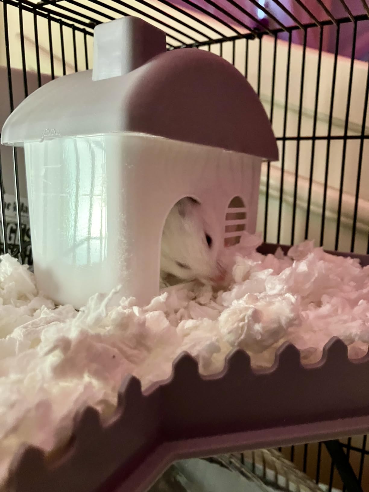 Large Hamster Cage Starter Kit 22x12x15in for Syrian Hamster Dwarf Hamster | with Large Silent Wheel, Large Bathtub, Hide-House, 2 Platforms, 3 Ladders, Water Bottle, Food Bowl, 2 Tube Ports, 2 Handles customer photo 2