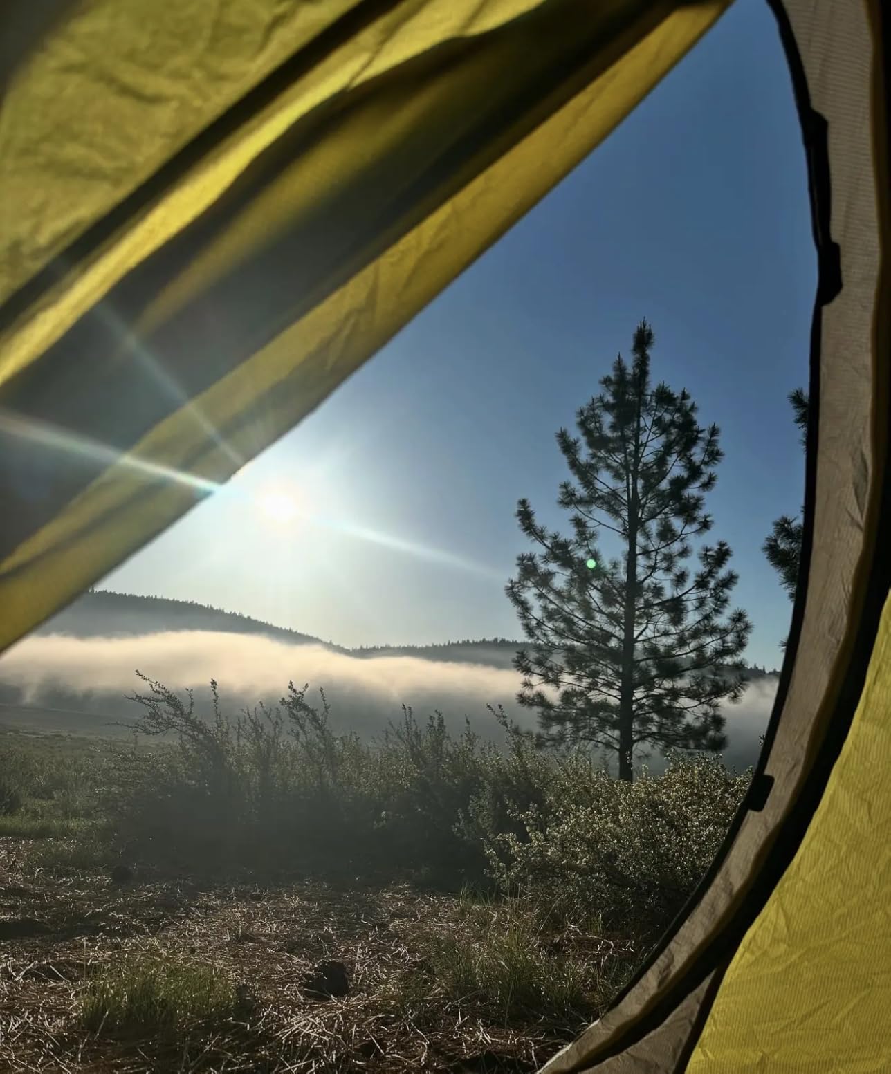 Dagger OSMO Backpacking Tent | Lightweight, Spacious, Versatile, Camping customer photo 1