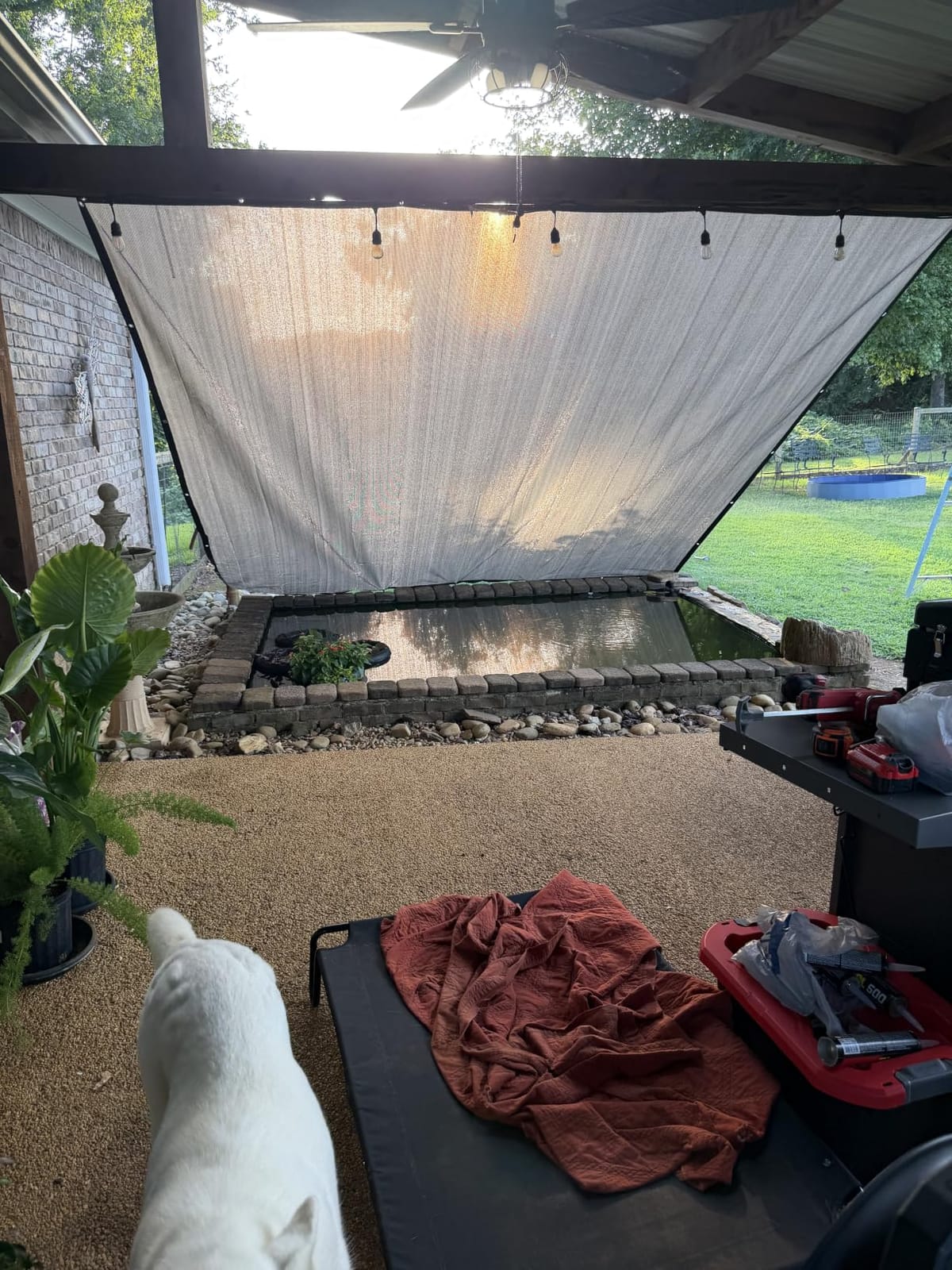EMERIT 90% Sun Shade Cloth, 10' X 20' Pergola Shade Cover Canopy, 50 MPH Wind-Resistant Tarp customer photo 2