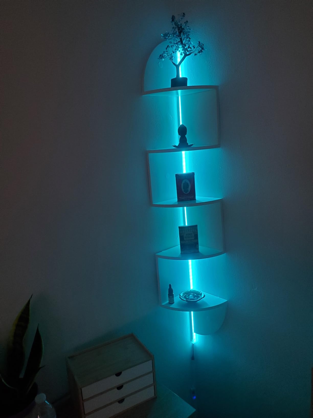 Corner Shelf, 5 Tier Bookshelf with LED Light, Corner Shelf Wall Mounted, Floating Shelves for Wall, Display Stand for Bedroom, Living Room, Bathroom, Home, Office, Black customer photo 1