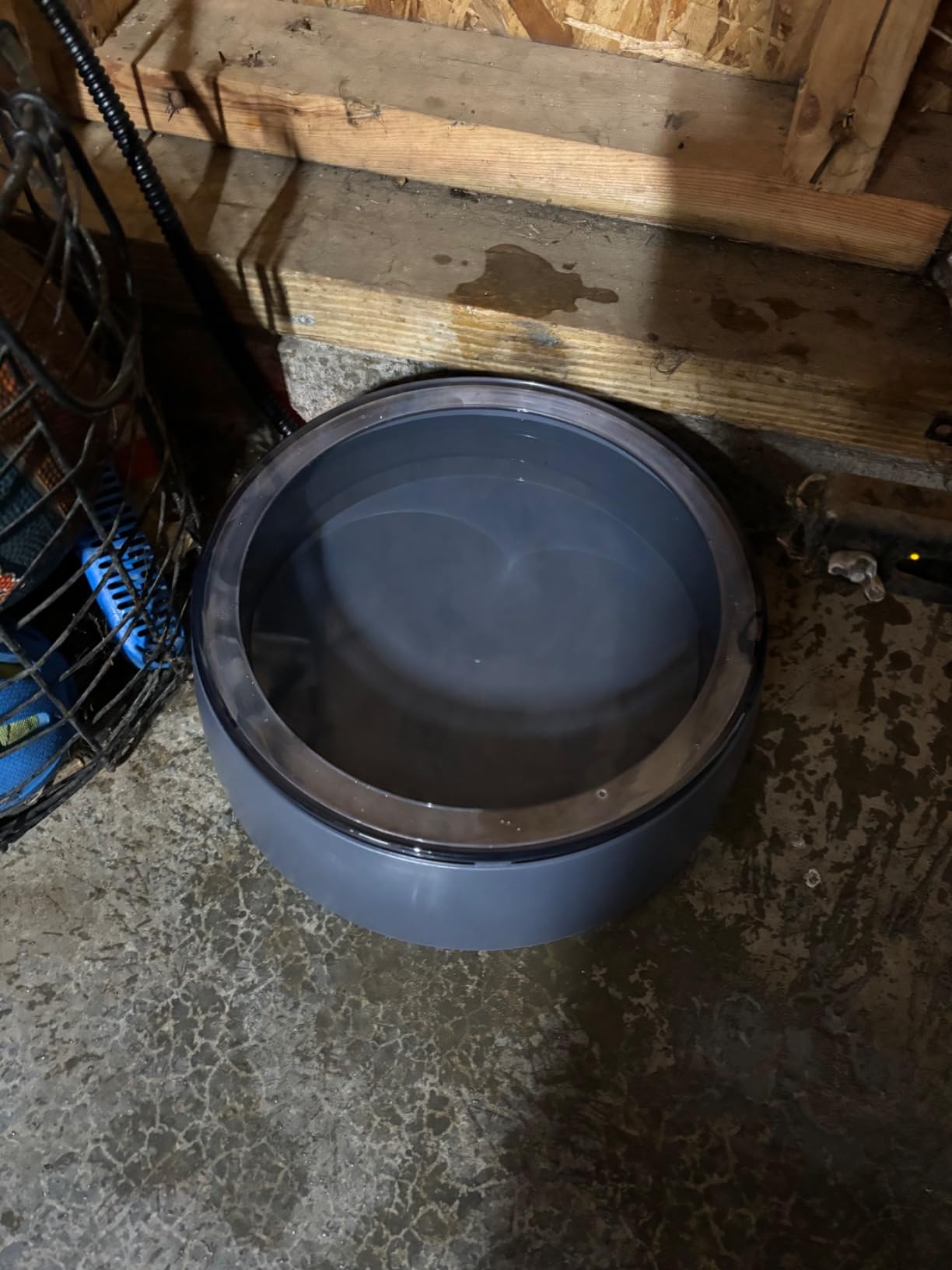 Newget 3L Heated Water Bowl, Outdoor Large Heated Pet Bowl in Winter | Constant Temp, Outside Waterproof Heated Pet Bowl, Unfrozen In Winter, No Slip, Anti-Chew Cord, for Cat, Rabbit, Chicken customer photo 1