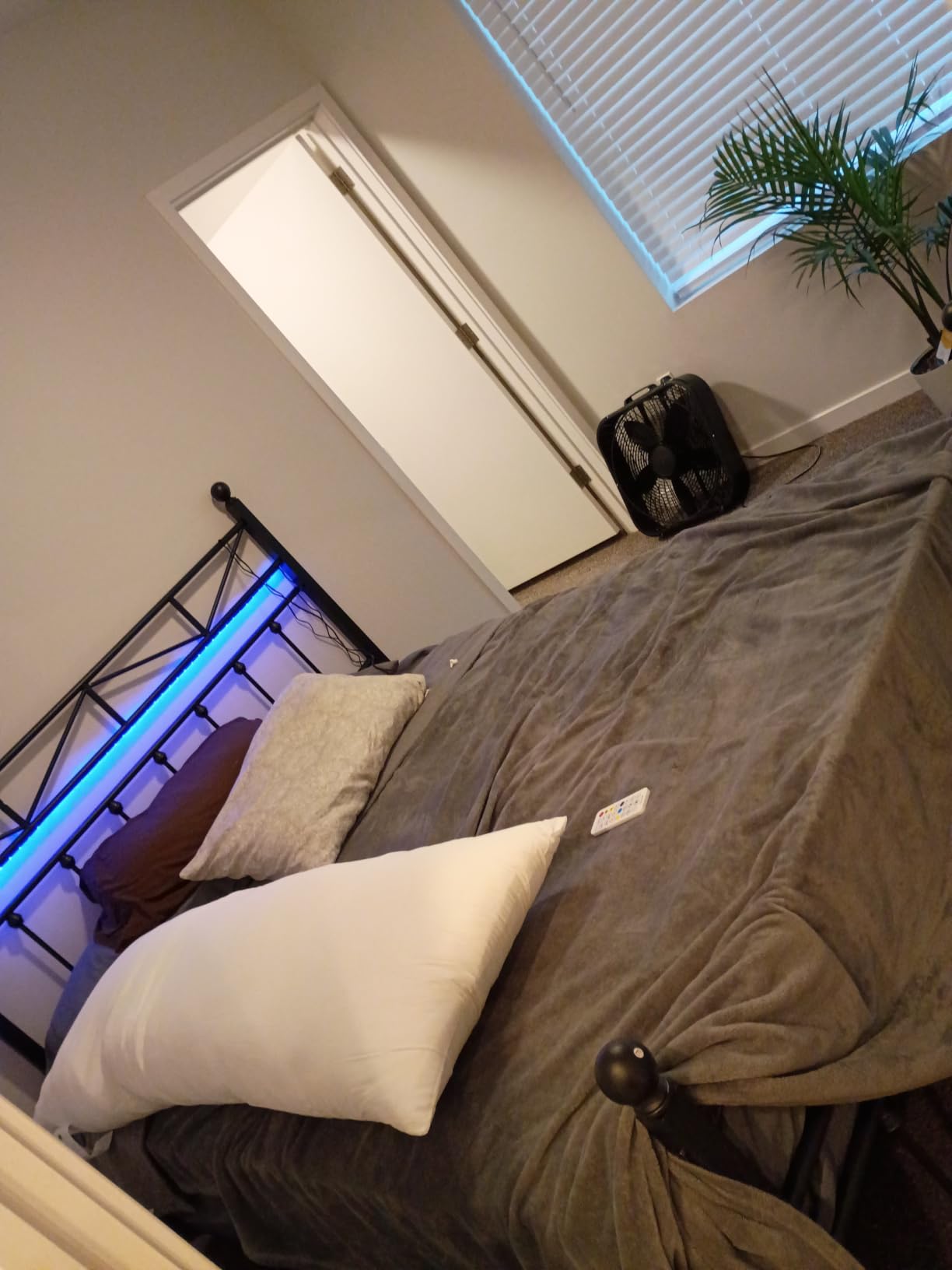 EnHomee Metal Queen Size Bed Frame with Tall Headboard & LED Light, Black | Victorian vintage 14