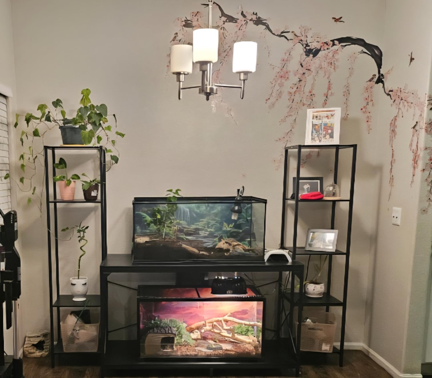 DWVO 55-75 Gallon Aquarium Stand with Power Outlet, Black & Gold | Display Stand for Turtle Tank, Reptile Terrarium, Metal Fish Tank Stand Suitable for Living Room, Entryway, 860LBS Capacity customer photo 1