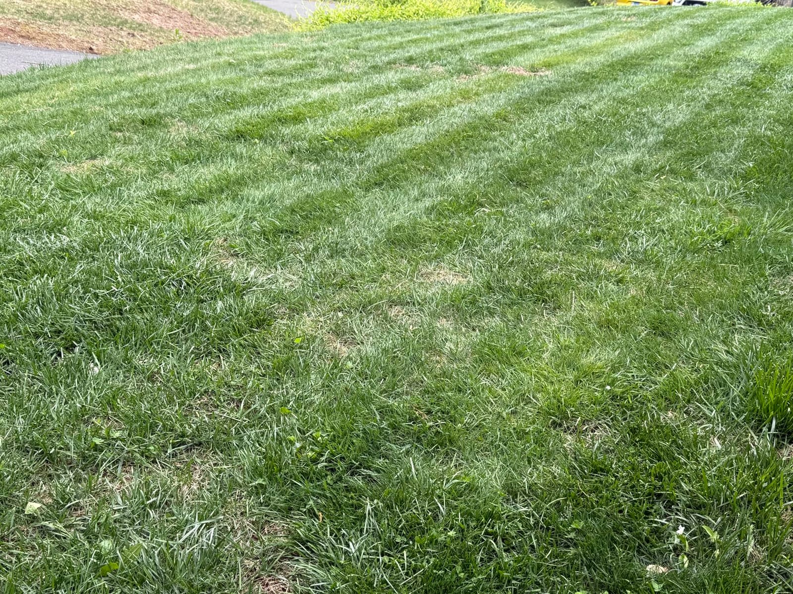 LUBA 2 AWD 5000HX Robot Lawn Mower with 4G, Reception 1.25 Acres, Max. 1.48 Acres, All-Wheel-Drive for 80% Slope, UltraSense AI Vision & RTK Automatic Edge Mapping, 2.2