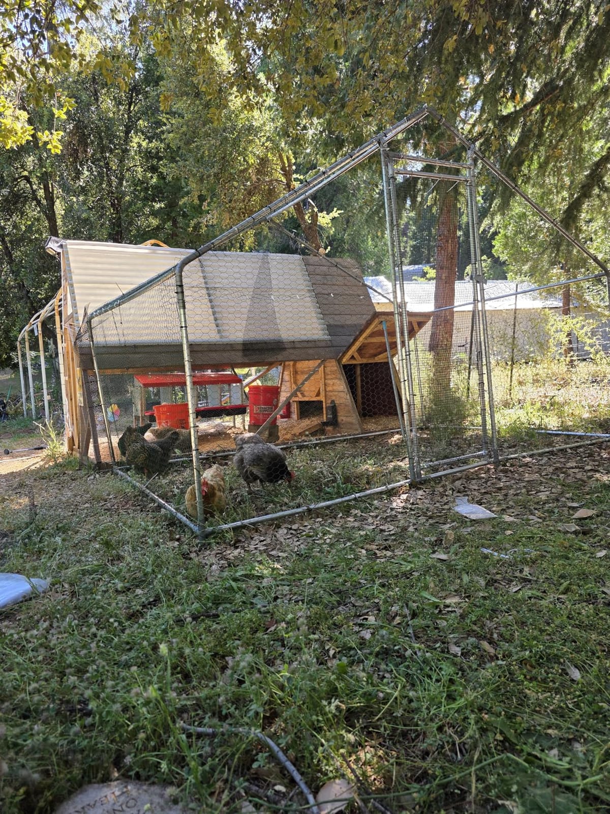 VEVOR Metal Chicken Coop, 6.56x6.56x6.56ft Large Walk-in Chicken Runs with Cover, Spire Roof Hen House Enclosure with Security Lock, Outdoor Duck Rabbit Cage Poultry Pen for Backyard, Farm, Yard customer photo 2
