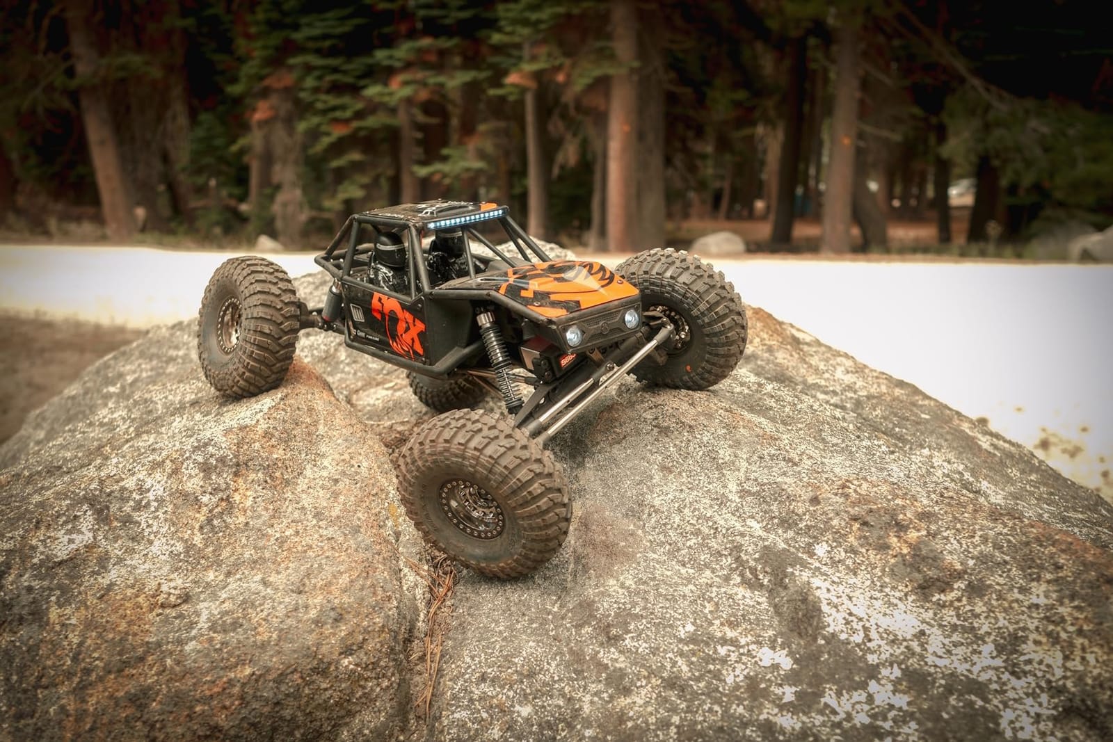 Axial UTB10 Capra 1.9 4WS 4X4 RTR 1/10 Brushed Rock Crawler customer photo 1