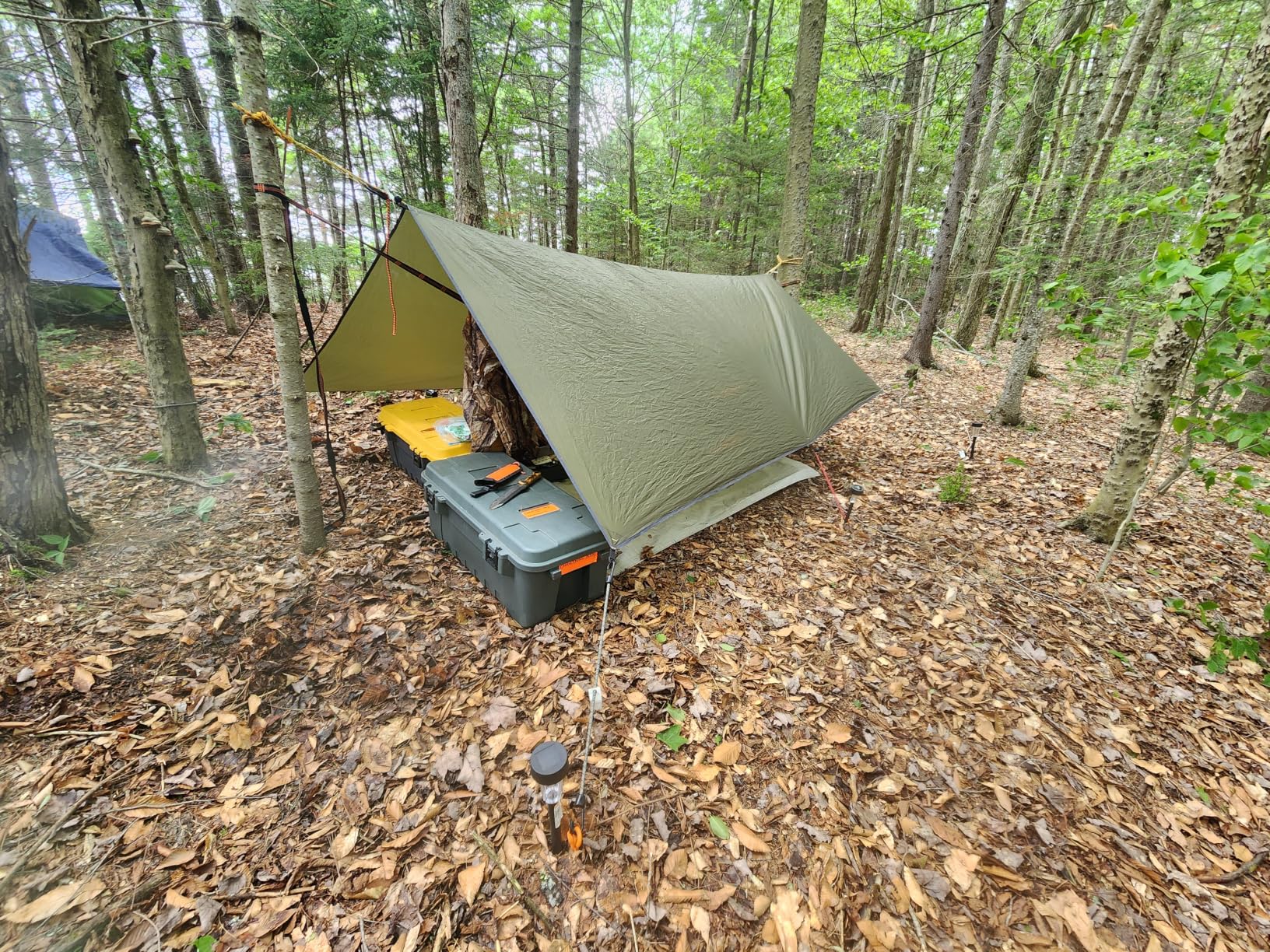 Chihee Ultra-Light Travel Camping Hammock Pop-up Net Hammock 660lbs Load Capacity, Breathable, Quick-Drying Parachute Nylon 2 Premium Carabiners, 2 Tree Slings Included for Outdoor Backpacking Hiking customer photo 1