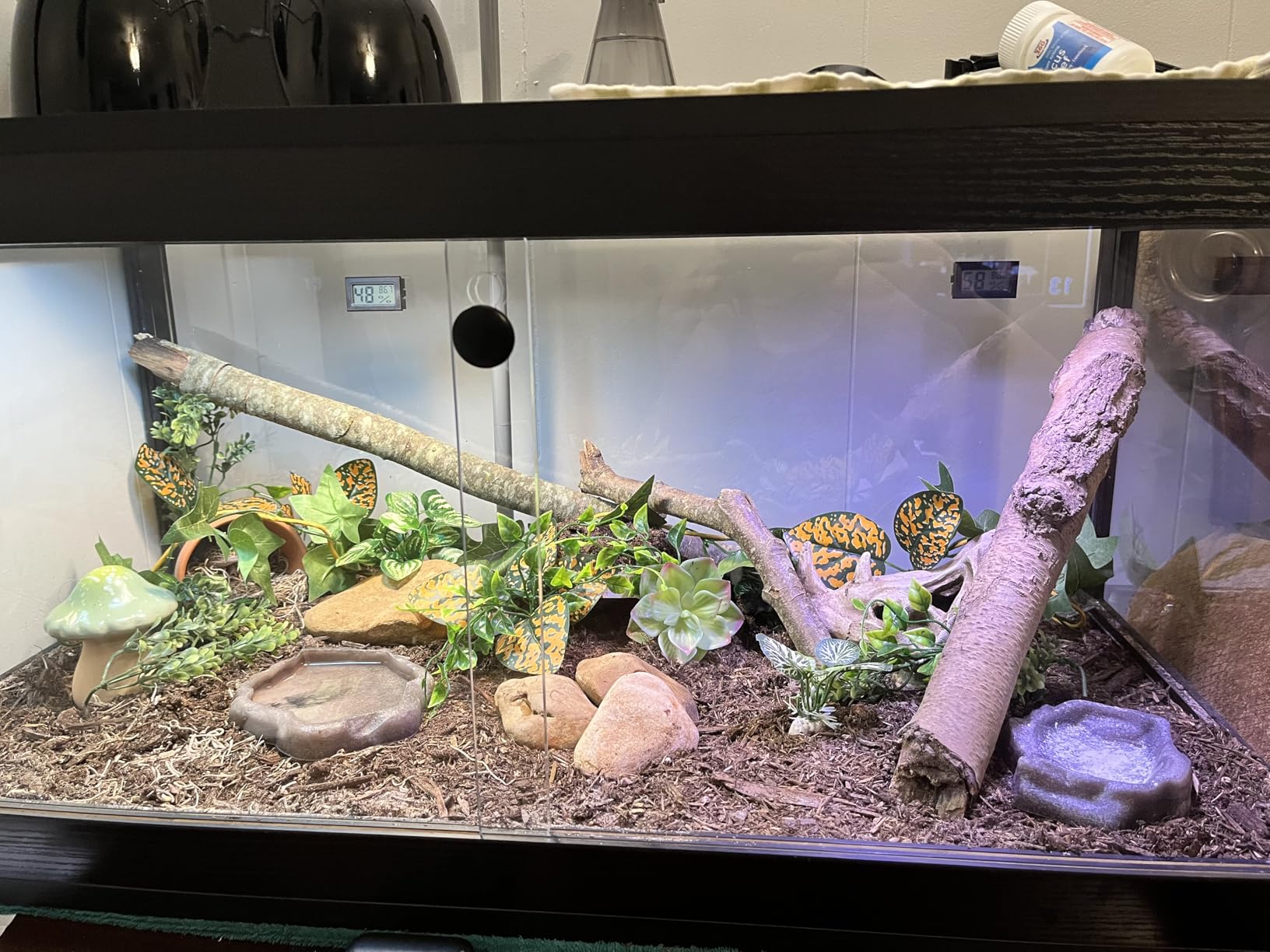 PROLEE 82 Gallon Bearded Dragon Tank, 48 x 20 x 20 Inch Tempered Glass Reptile Enclosure with Metal Mesh Top, Lockable Sliding Front Doors, Large Lizard and Snake Terrarium, Black customer photo 1