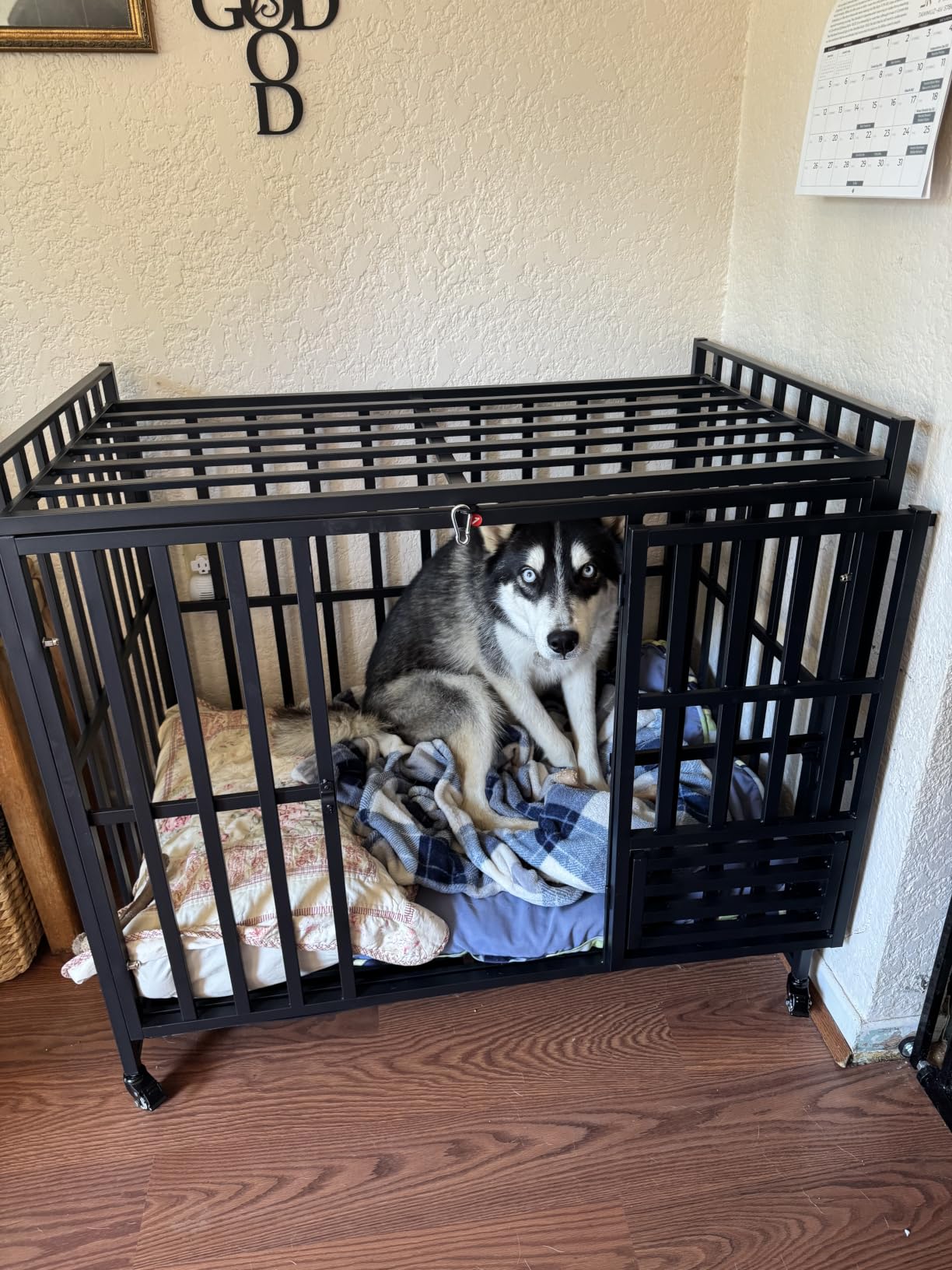 Heavy Duty Dog Crate, 43'' Large Indestructible Cage for High-Anxiety Dogs | Escape-Proof 3-Door Kennel for Large & Medium Breeds, 4 Lockable Wheels, 2 Removable Trays, Easy to Clean, Built to Last customer photo 1
