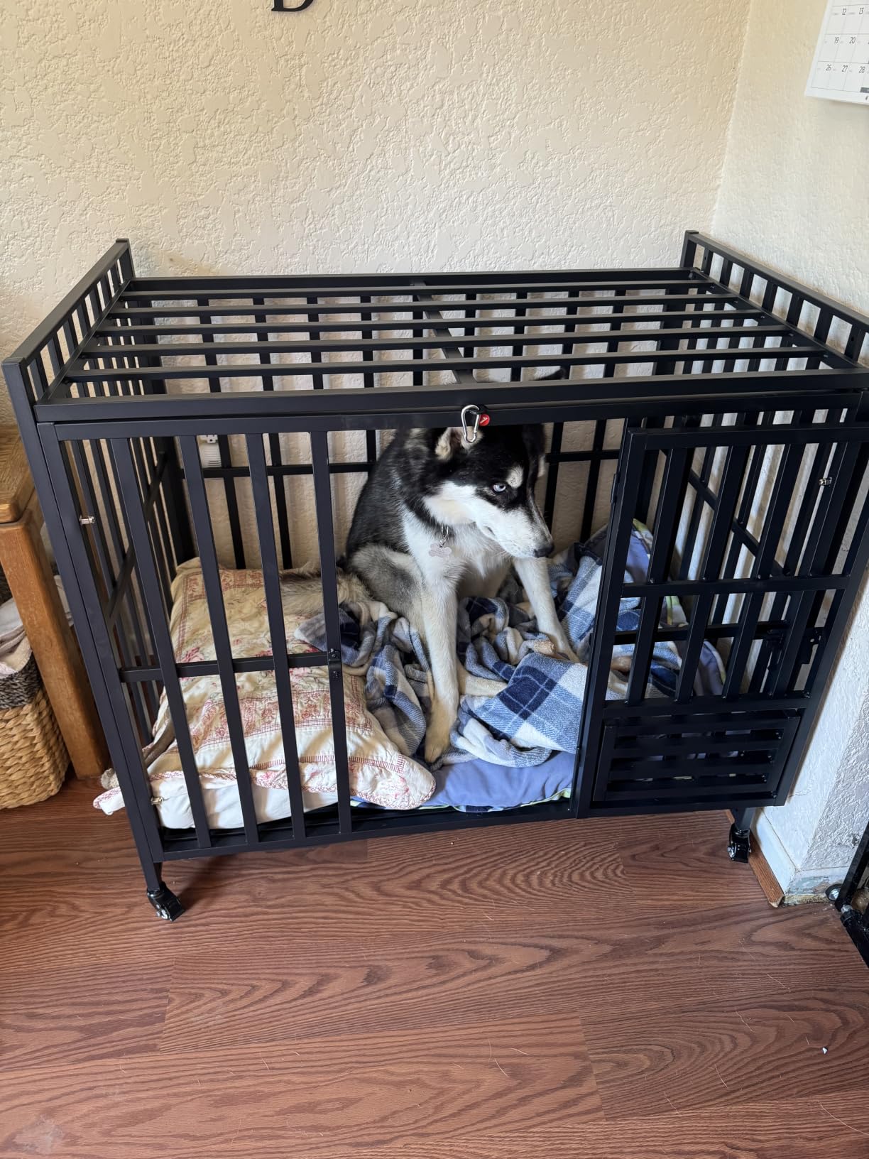 Heavy Duty Dog Crate, 43'' Large Indestructible Cage for High-Anxiety Dogs | Escape-Proof 3-Door Kennel for Large & Medium Breeds, 4 Lockable Wheels, 2 Removable Trays, Easy to Clean, Built to Last customer photo 2