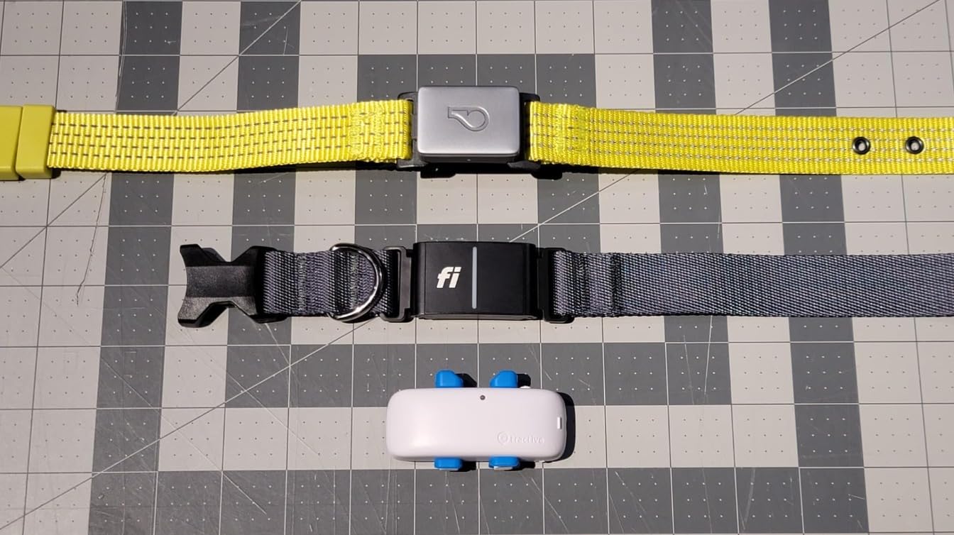 Fi Series 3+ GPS + Health Dog Collar, Blue, Large, 12-Month Membership | Smart GPS dog collar with live tracking, health & behavior, Escape Alerts, LED light. Waterproof and Apple Watch compatible. customer photo 2