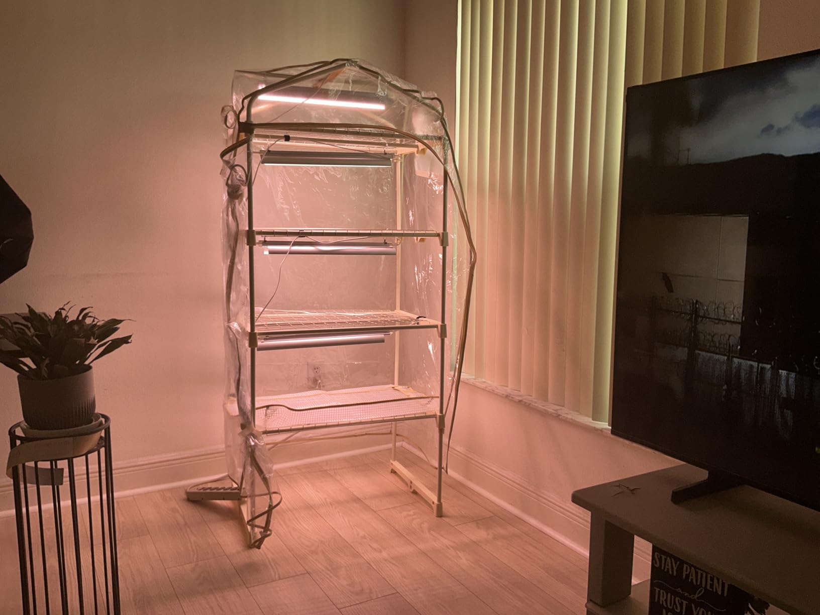Indoor Greenhouse with Grow Light, 2-Tier Plant Stand, 27x19x35in | 1.64FT T5 Grow Light for Seedlings, PVC Tent with Ventilation Window, Bottom Pouch, 40W Full Spectrum Plant Light with Timer customer photo 1