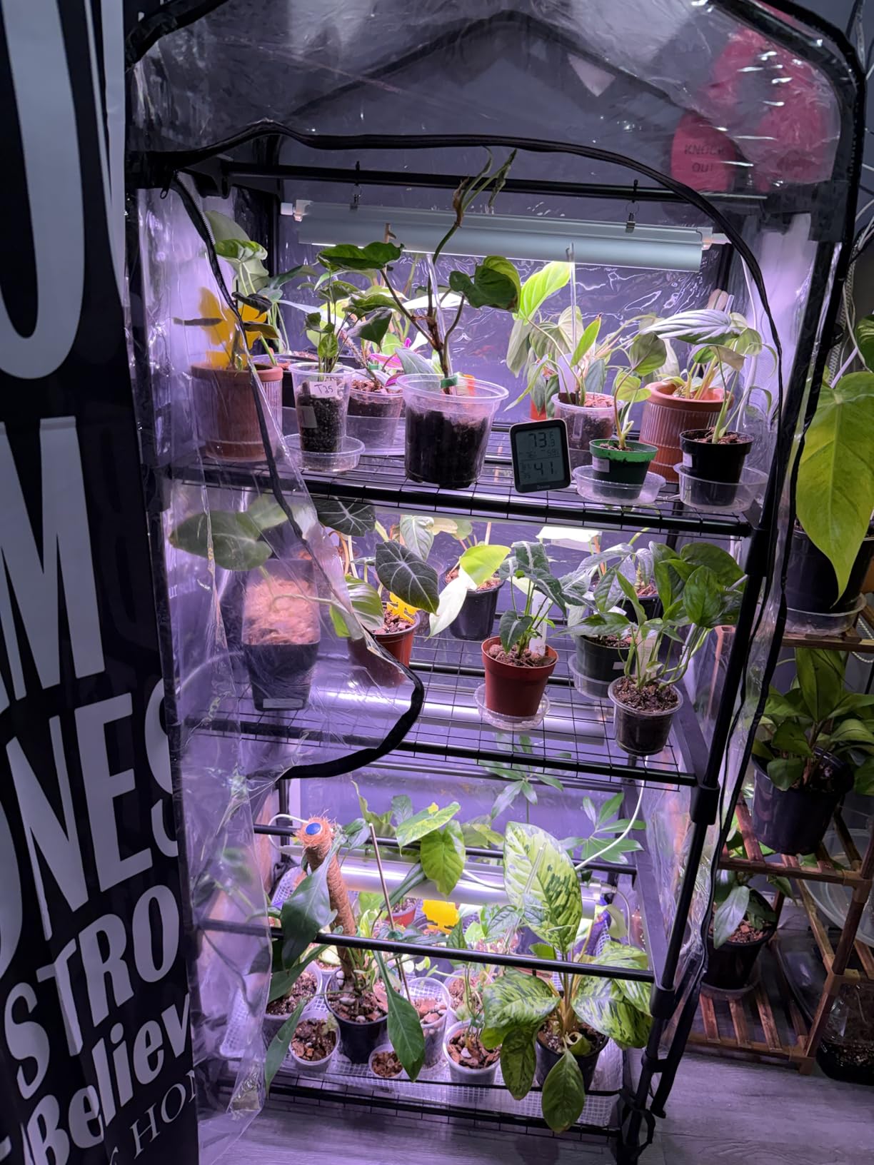 Indoor Greenhouse with Grow Light, 2-Tier Plant Stand, 27x19x35in | 1.64FT T5 Grow Light for Seedlings, PVC Tent with Ventilation Window, Bottom Pouch, 40W Full Spectrum Plant Light with Timer customer photo 2